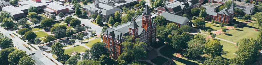 Auburn Skyline