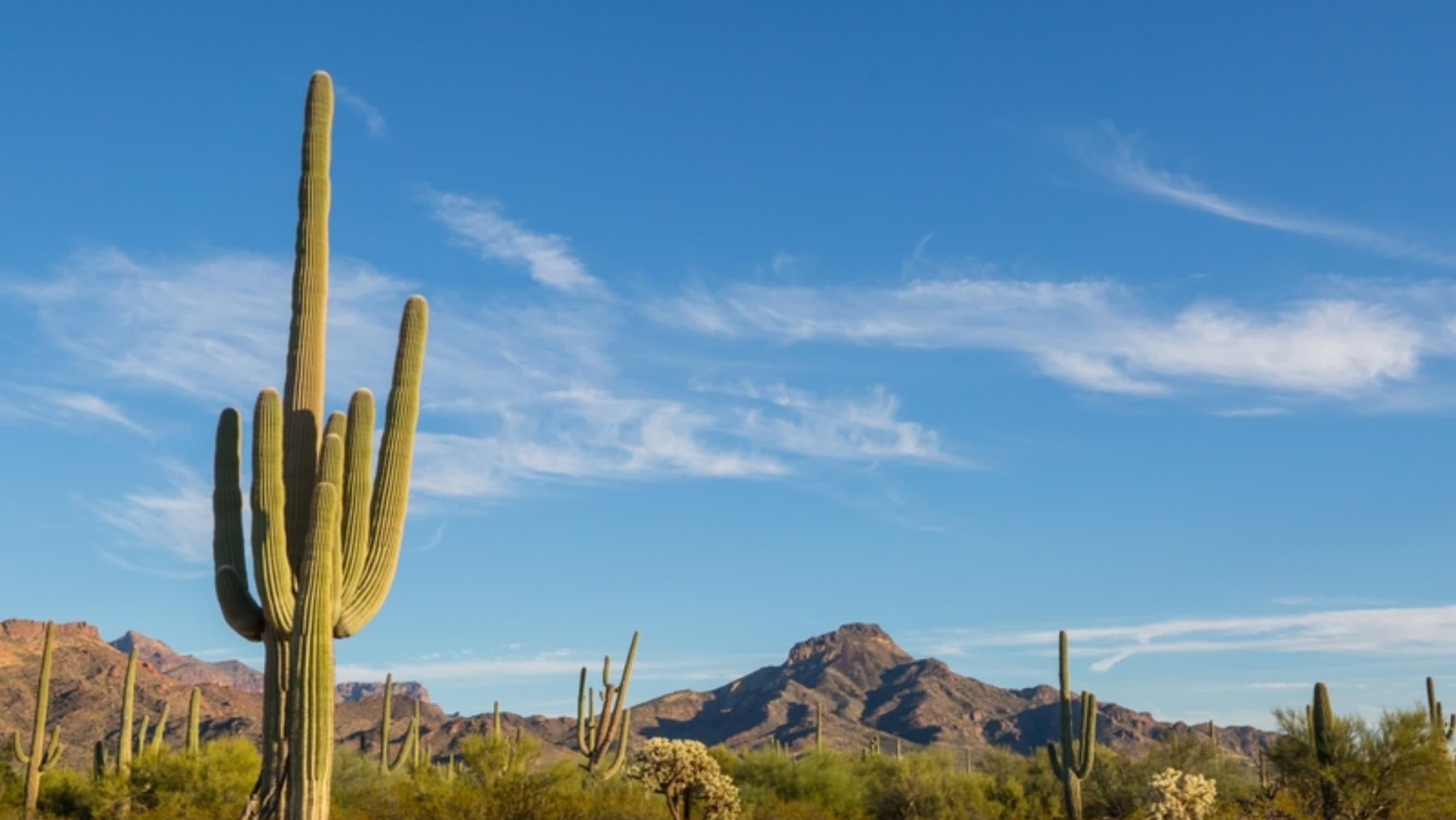 6 Reasons to Relocate to Arizona