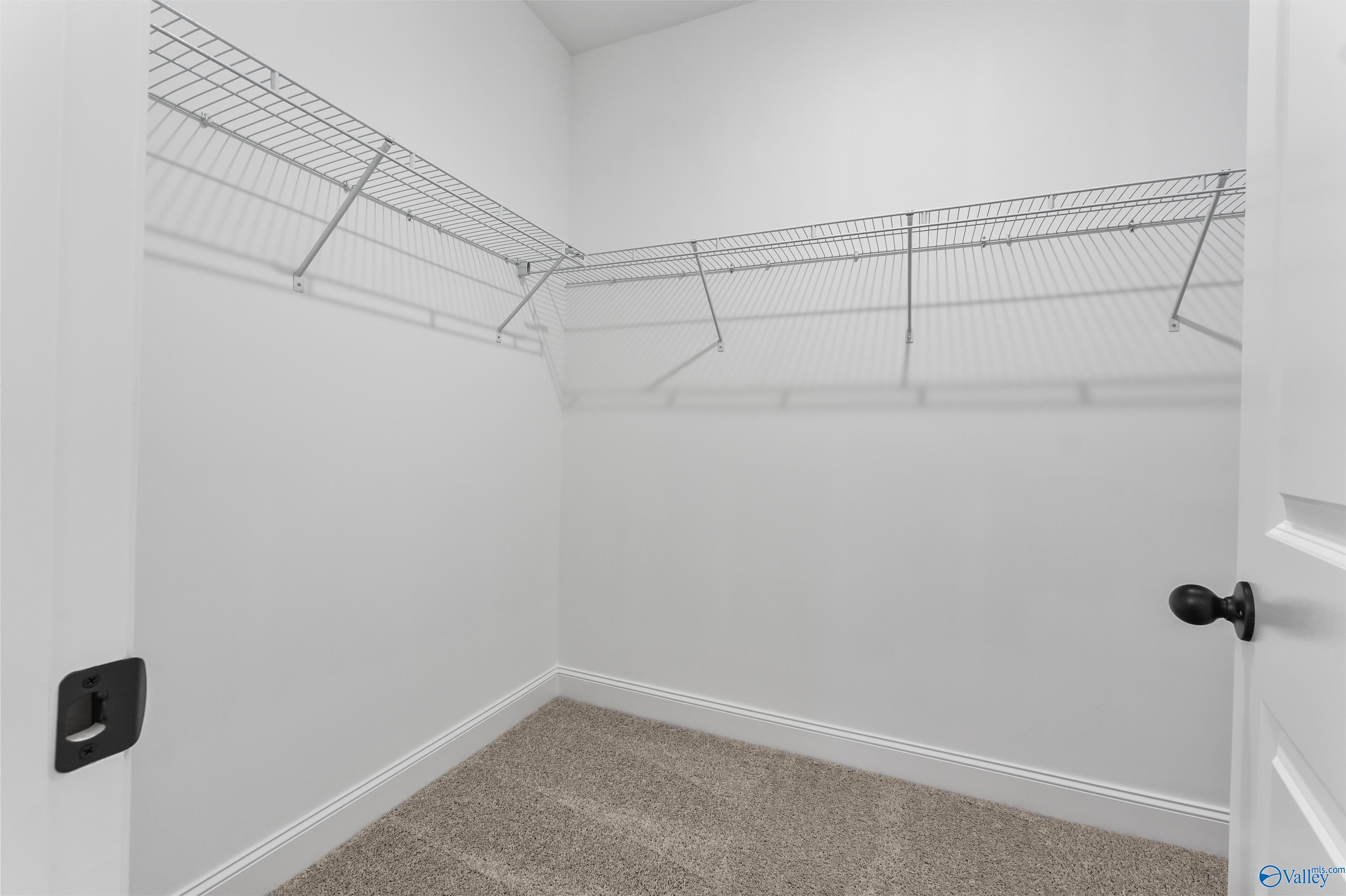 Spacious walk-in closet with wire shelving and carpet flooring in Davidson Homes The Asheville C, Meridianville, Alabama