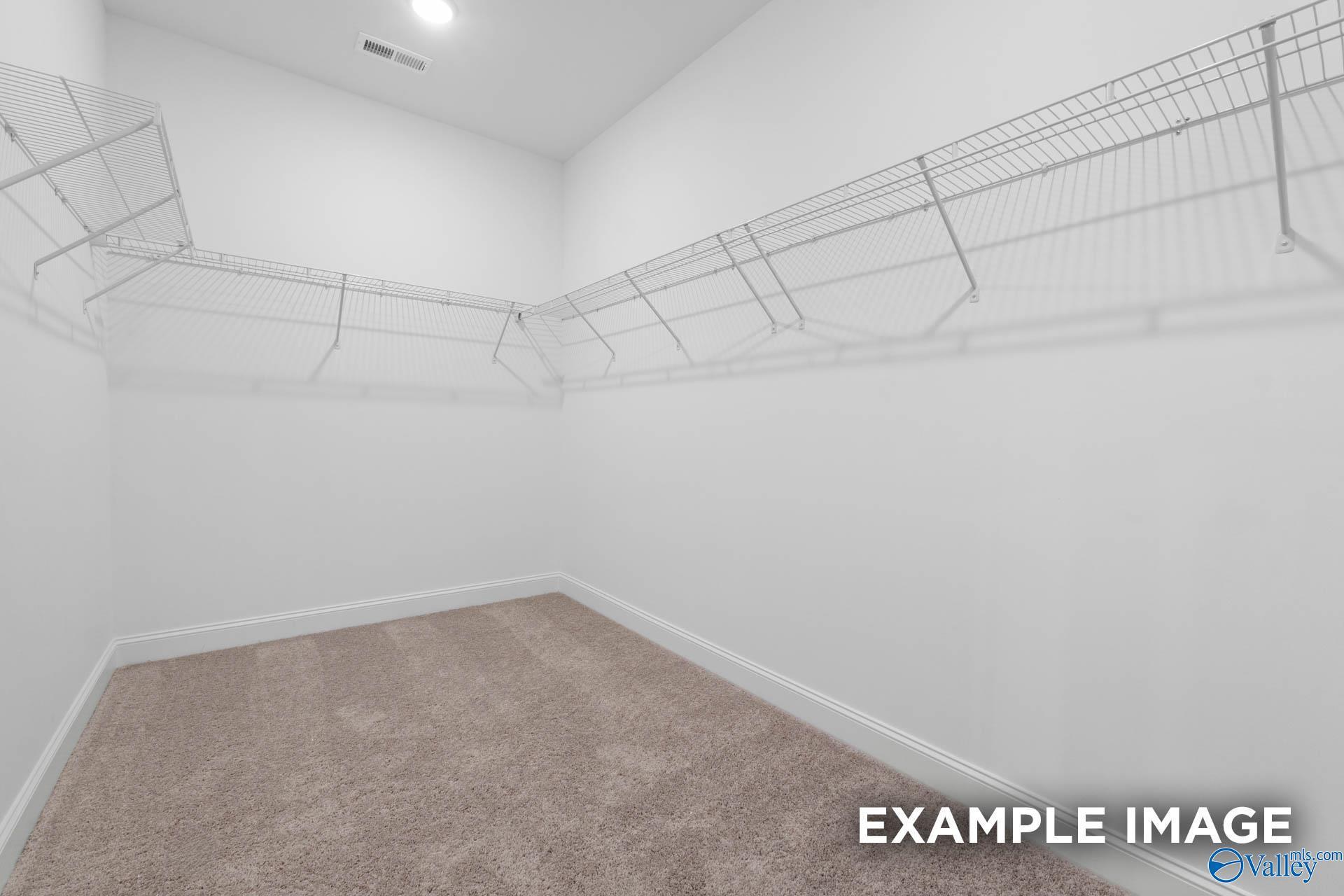 Spacious walk-in closet with wire shelving, beige carpet, and white walls in Davidson Homes The Finleigh, Creekside, Harvest, Alabama