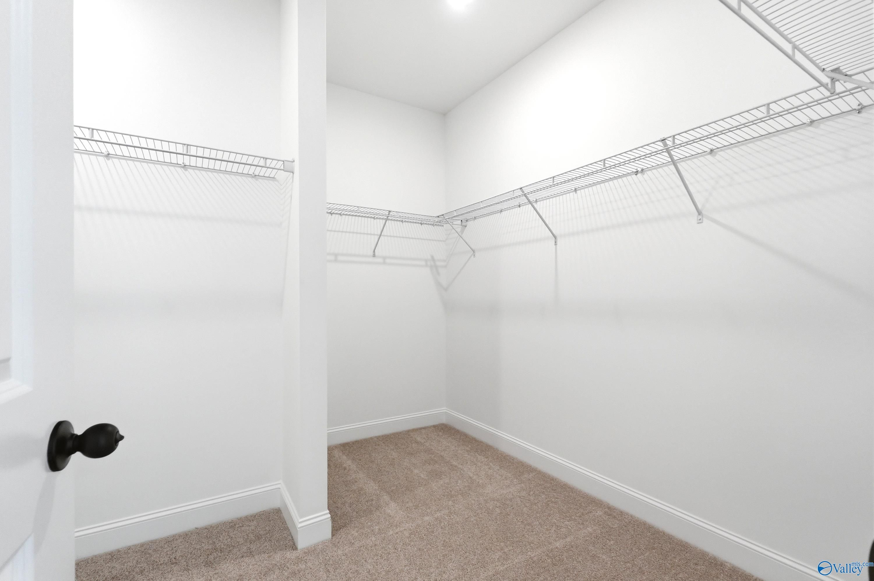 Walk-in closet with wire shelving and carpeted floors in The Everett B floor plan at Clearview, Hazel Green, Alabama.