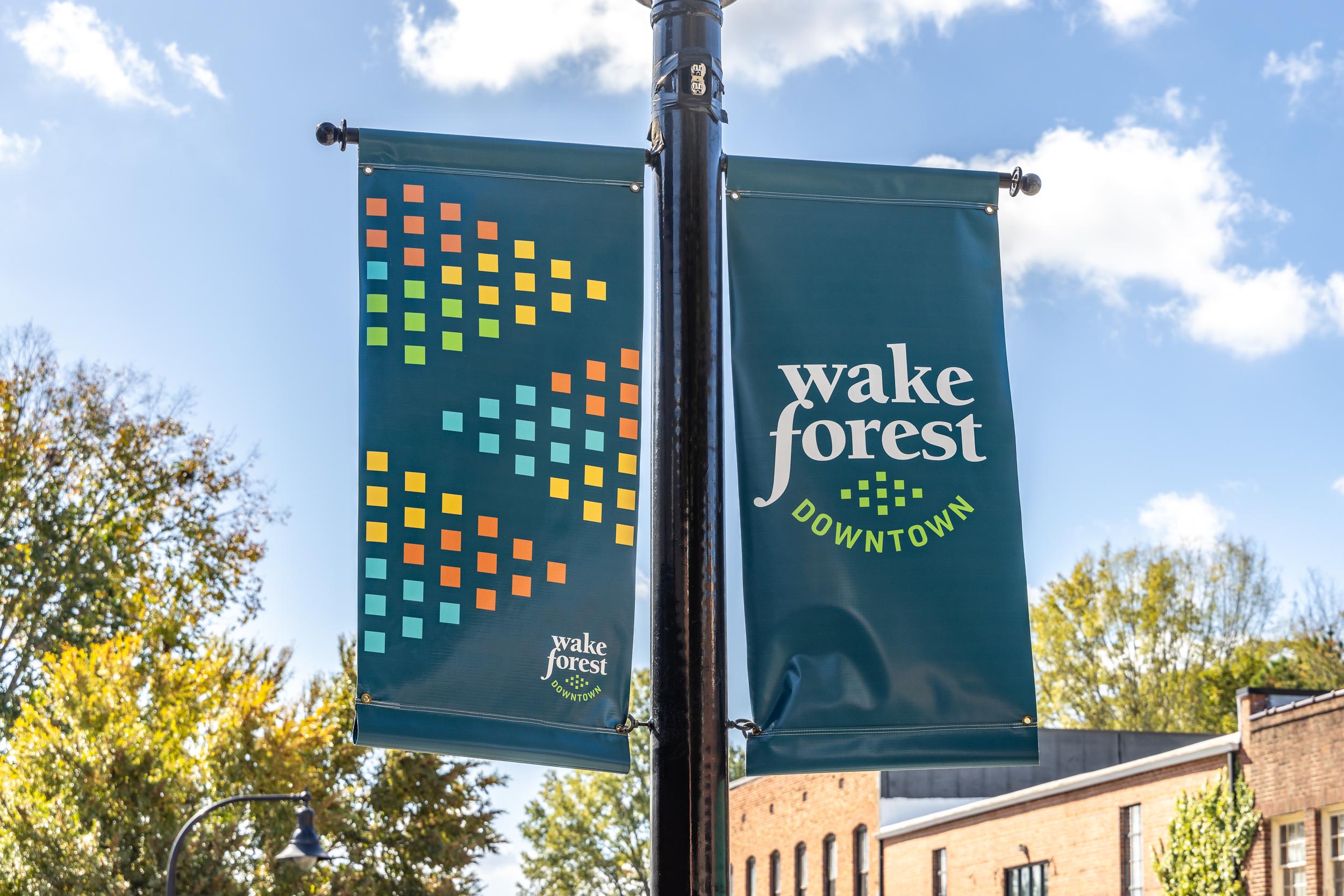 Colorful Wake Forest Downtown banners on lamppost with geometric patterns amid autumn trees in NC