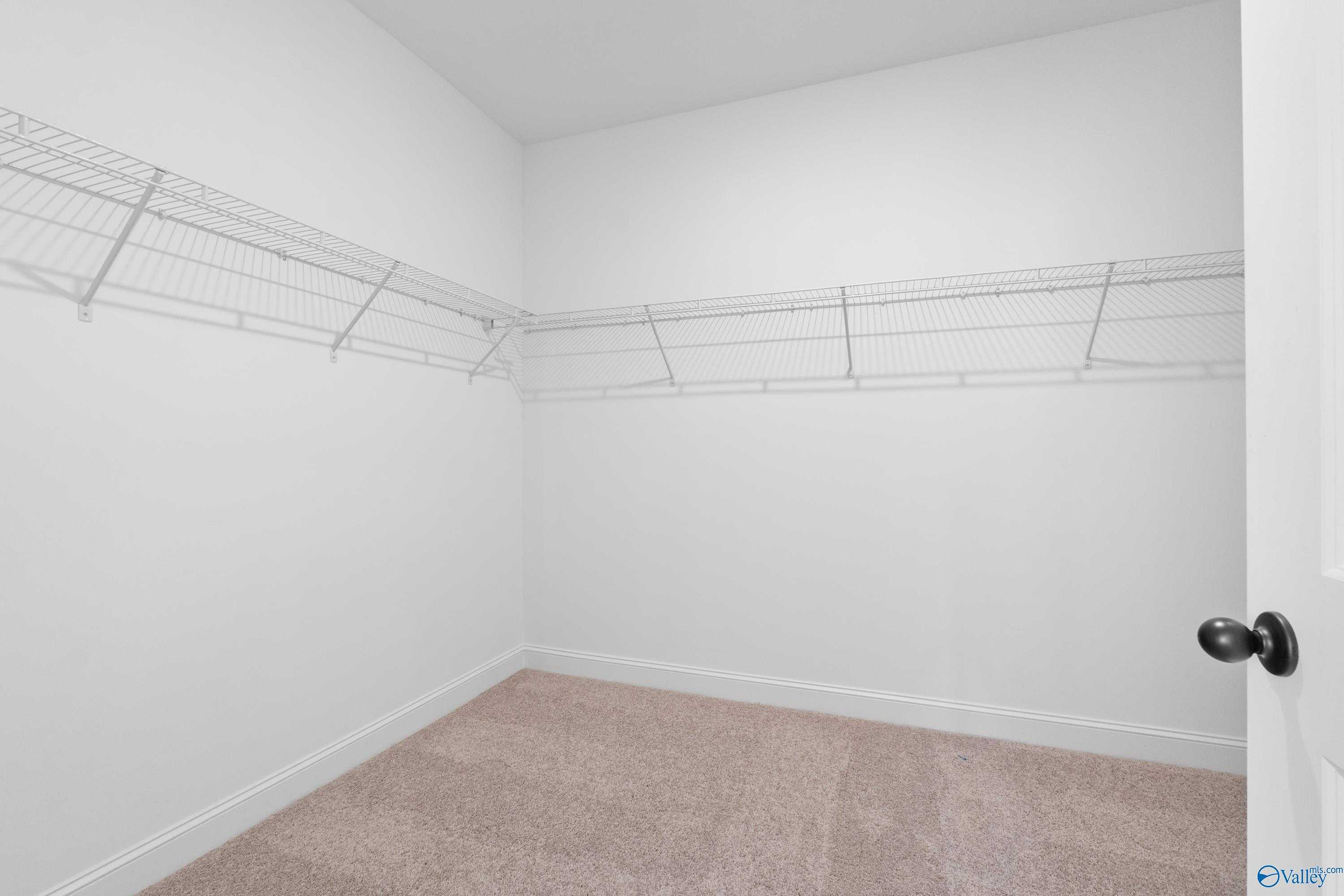 Spacious walk-in closet with wire shelving, white walls, and carpeted floor in Davidson Homes The Rockford with Bonus, Toney, Alabama