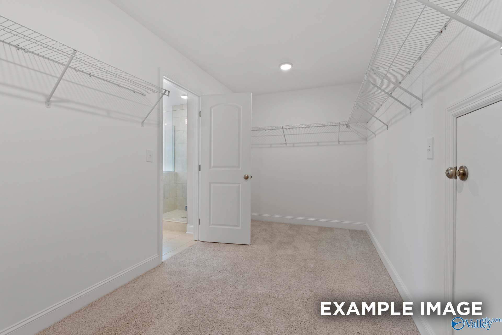 Spacious walk-in closet with white wire shelving, beige carpet, and open en-suite bathroom door in Davidson Homes Madison A, Toney, Alabama