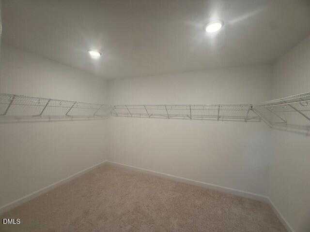 Spacious walk-in closet with white wire shelving, beige carpet floor, and recessed lighting in Davidson Homes The Preston C, Lillington, NC