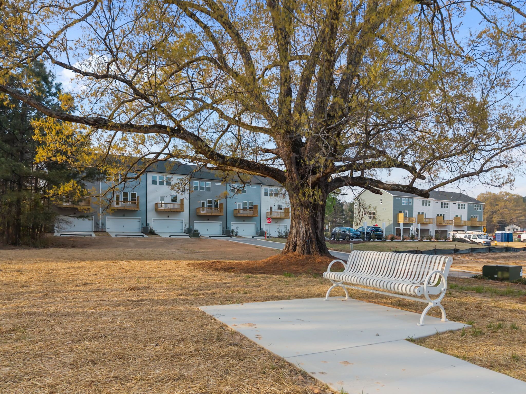 White bench overlooking The Mitchell 3-story multi-family homes by Davidson Homes in Knightdale, North Carolina.