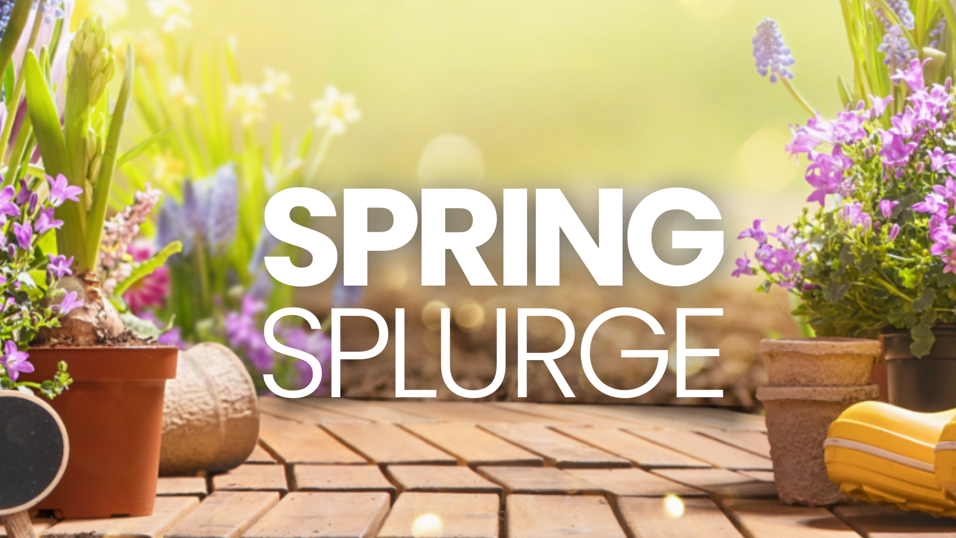 This Week's Springtime Steal!