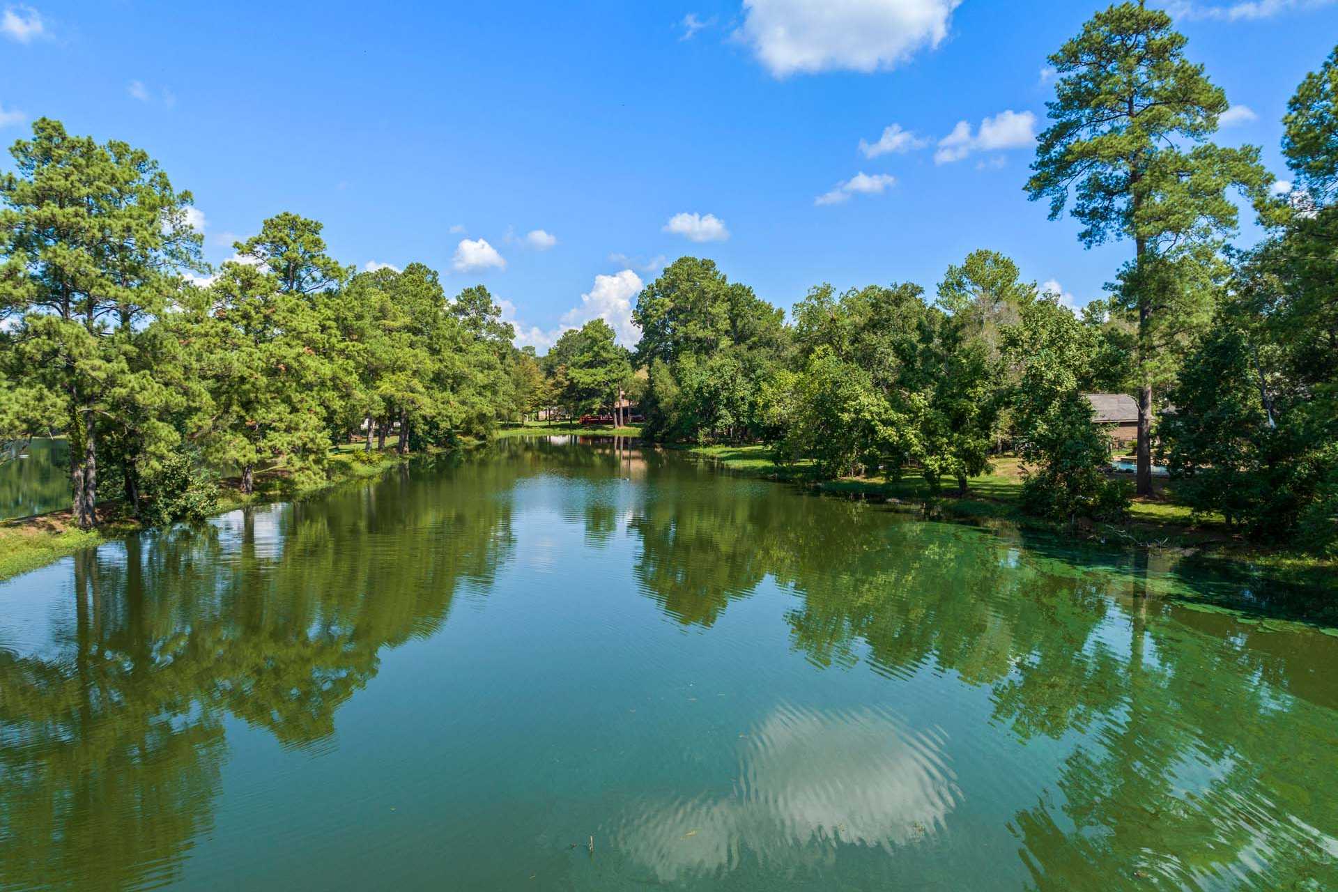 Serene pond with pine tree reflections and blue sky at Windmill Estates in Magnolia, Texas