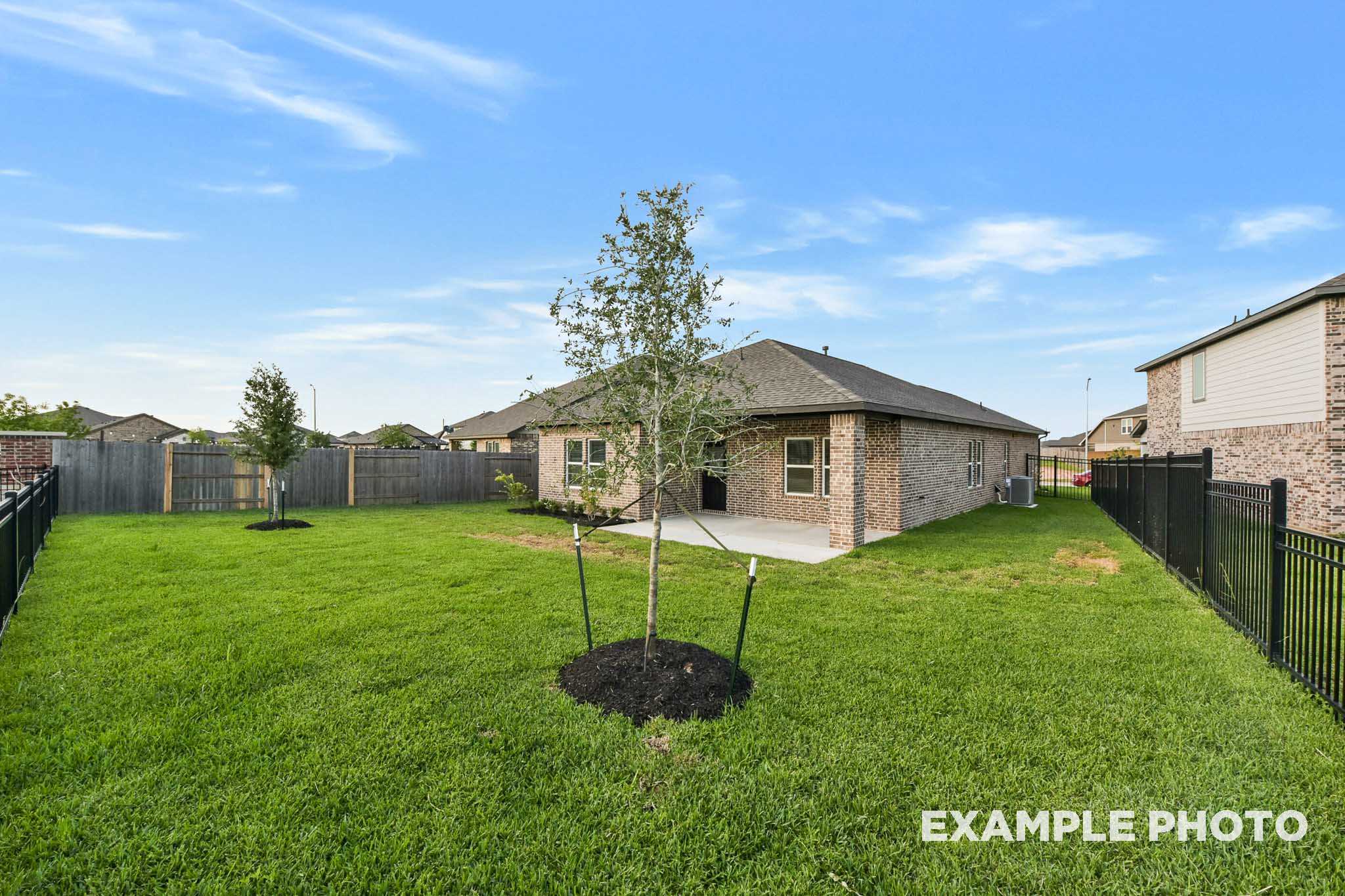 Spacious backyard of The Laguna B single-story home in Beasley, Texas, with fenced green lawn, young trees, and covered patio