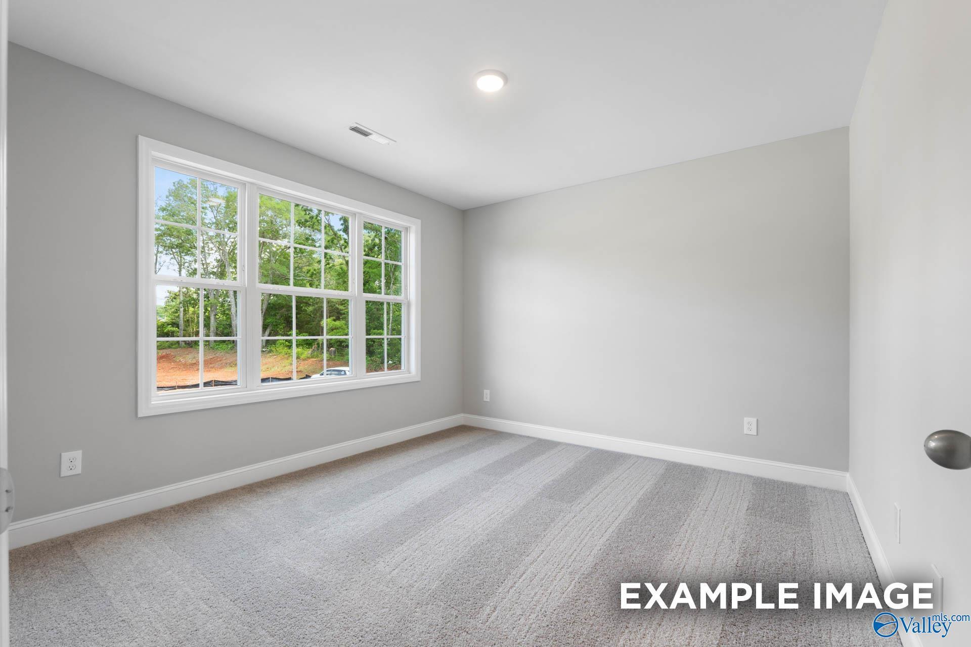 Image 15 of Davidson Homes' New Home at 336 Creek Grove Avenue