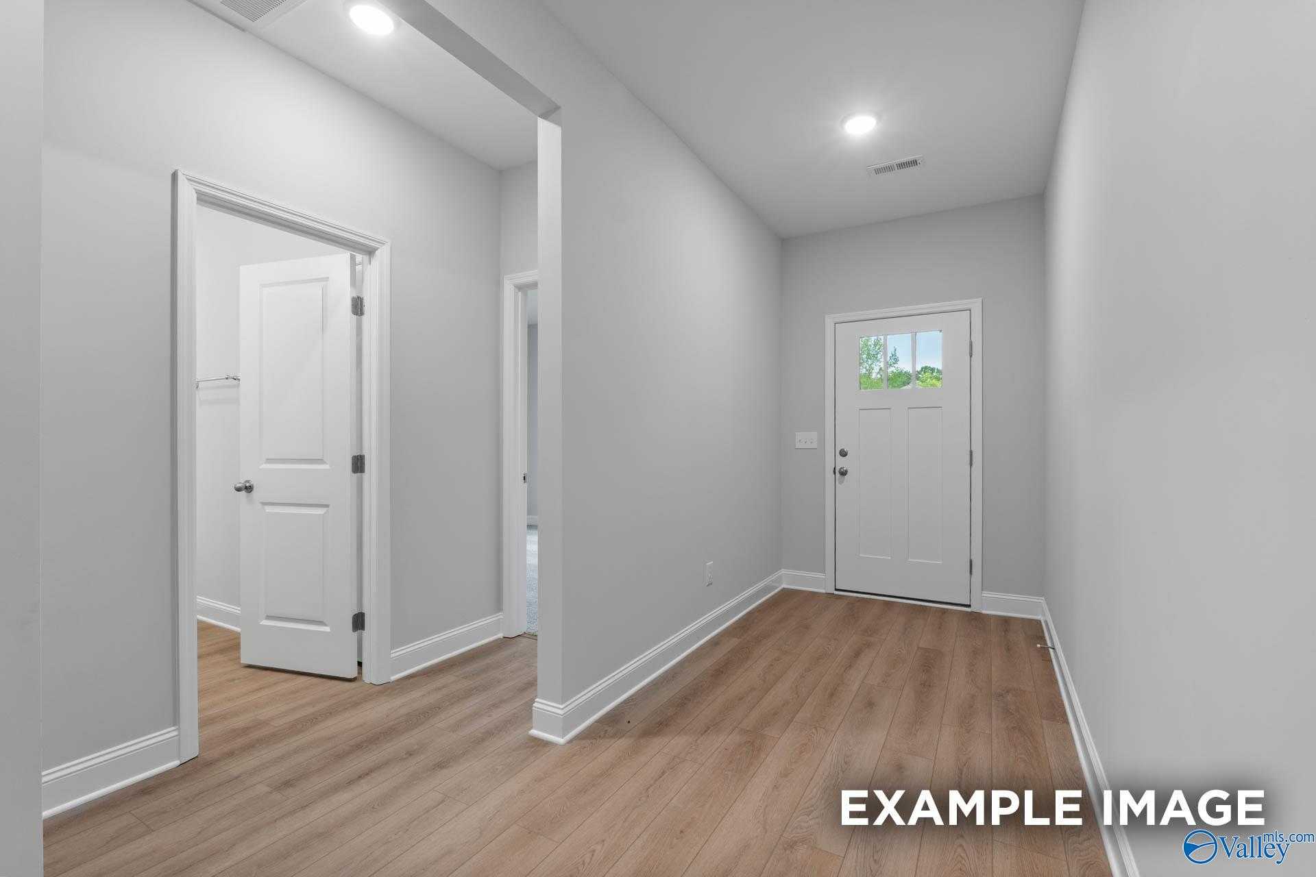 Bright entry hallway with light oak floors, white doors, and glass-paneled front door in Davidson Homes The Daphne, Meridianville, Alabama