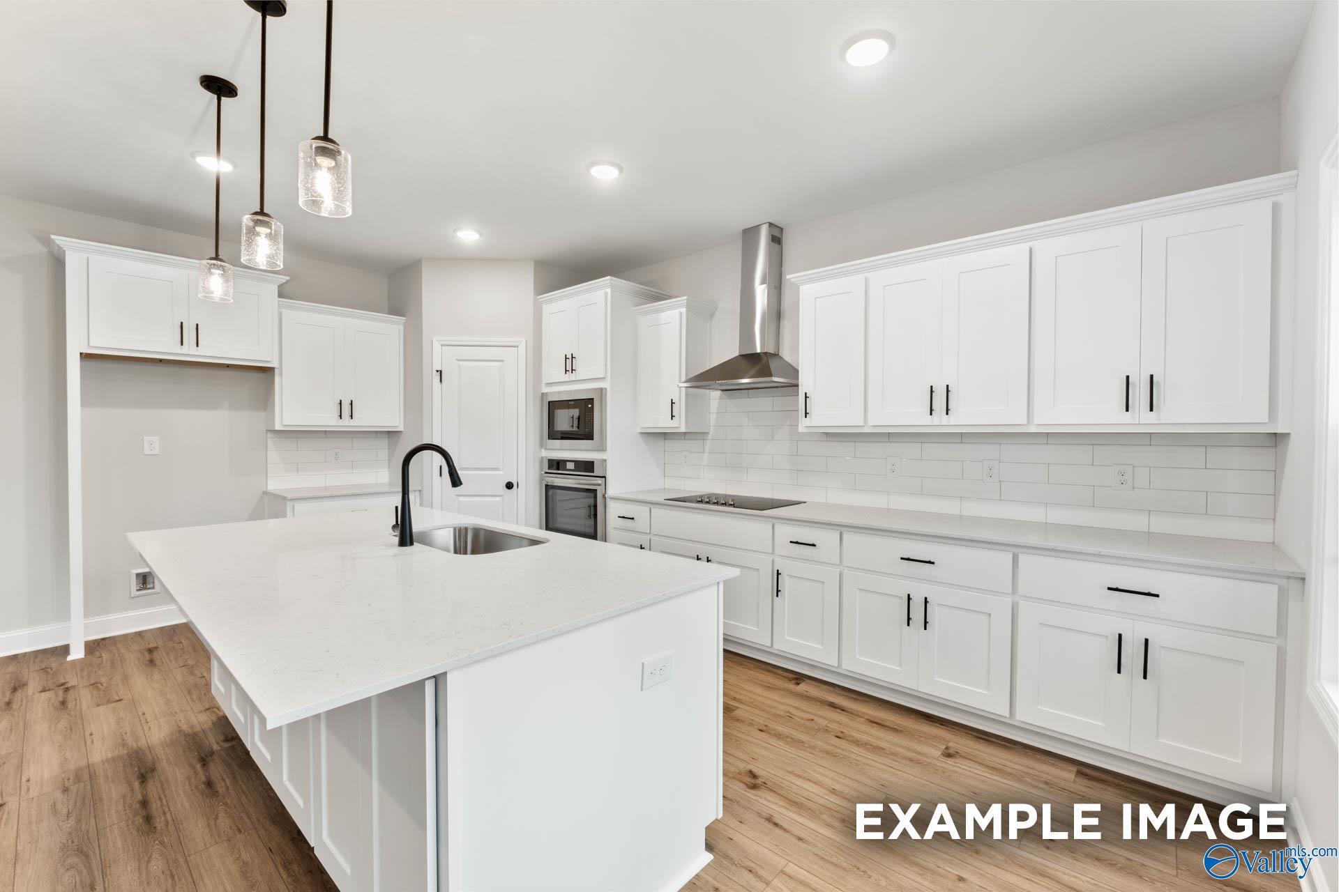 Image 26 of Davidson Homes' New Home at 306 Pone Street