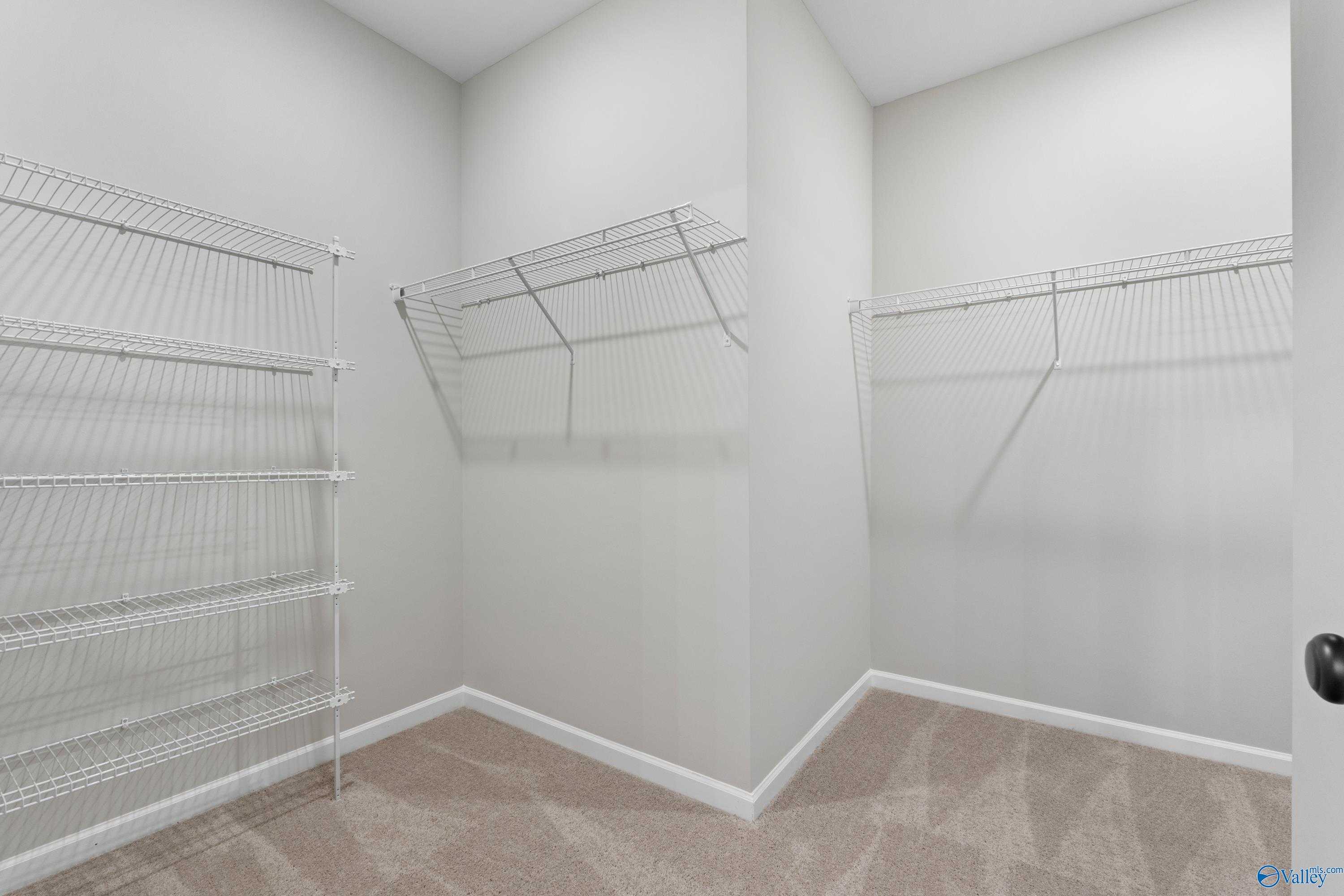 Spacious walk-in closet with wire shelving, hanging rods, and beige carpet in Davidson Homes The Phoenix, Hazel Green, Alabama