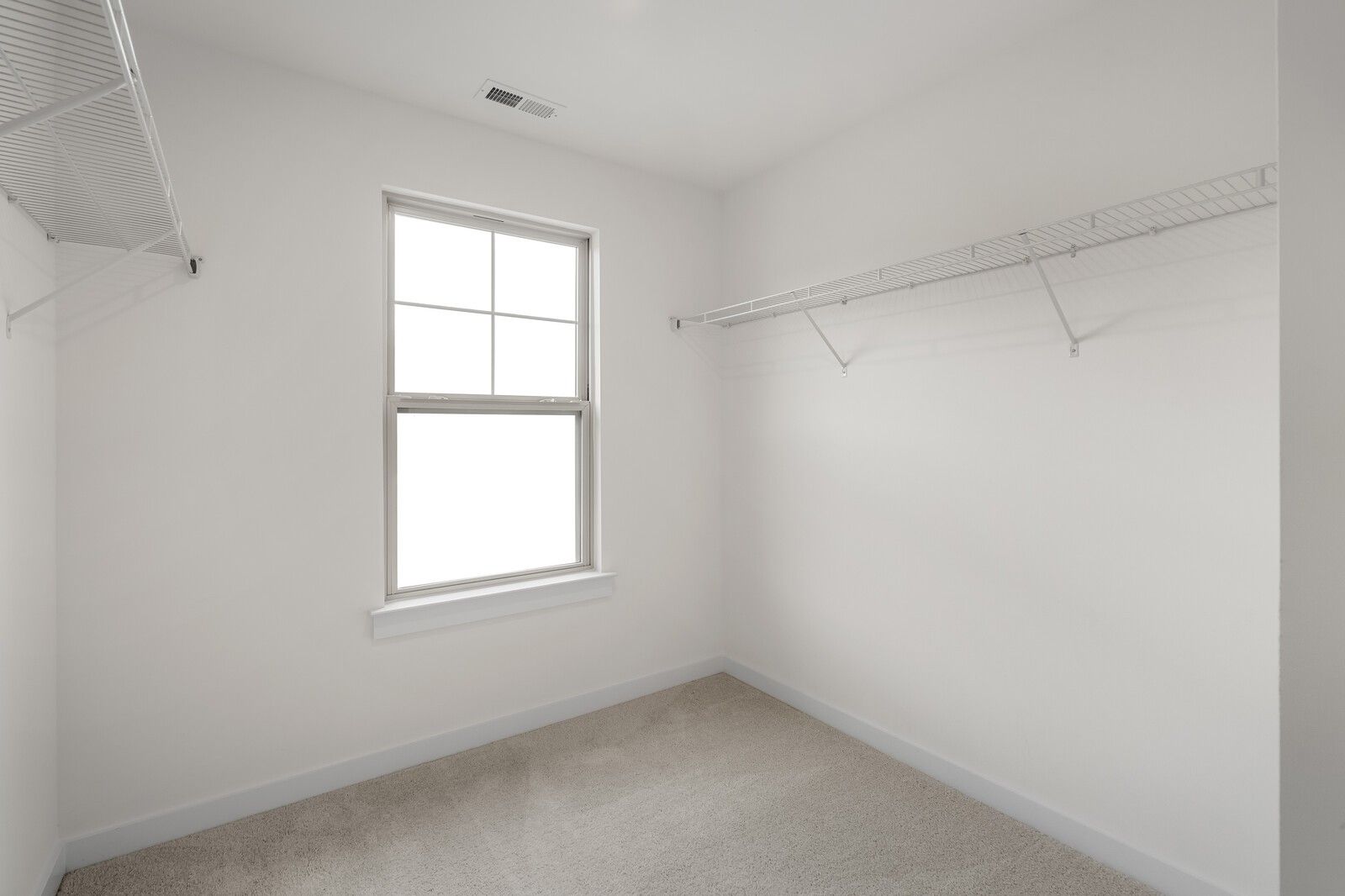 Spacious walk-in closet with built-in shelving, hanging rods, large window, and carpeted floor in Davidson Homes The Willow C, Gallatin, TN