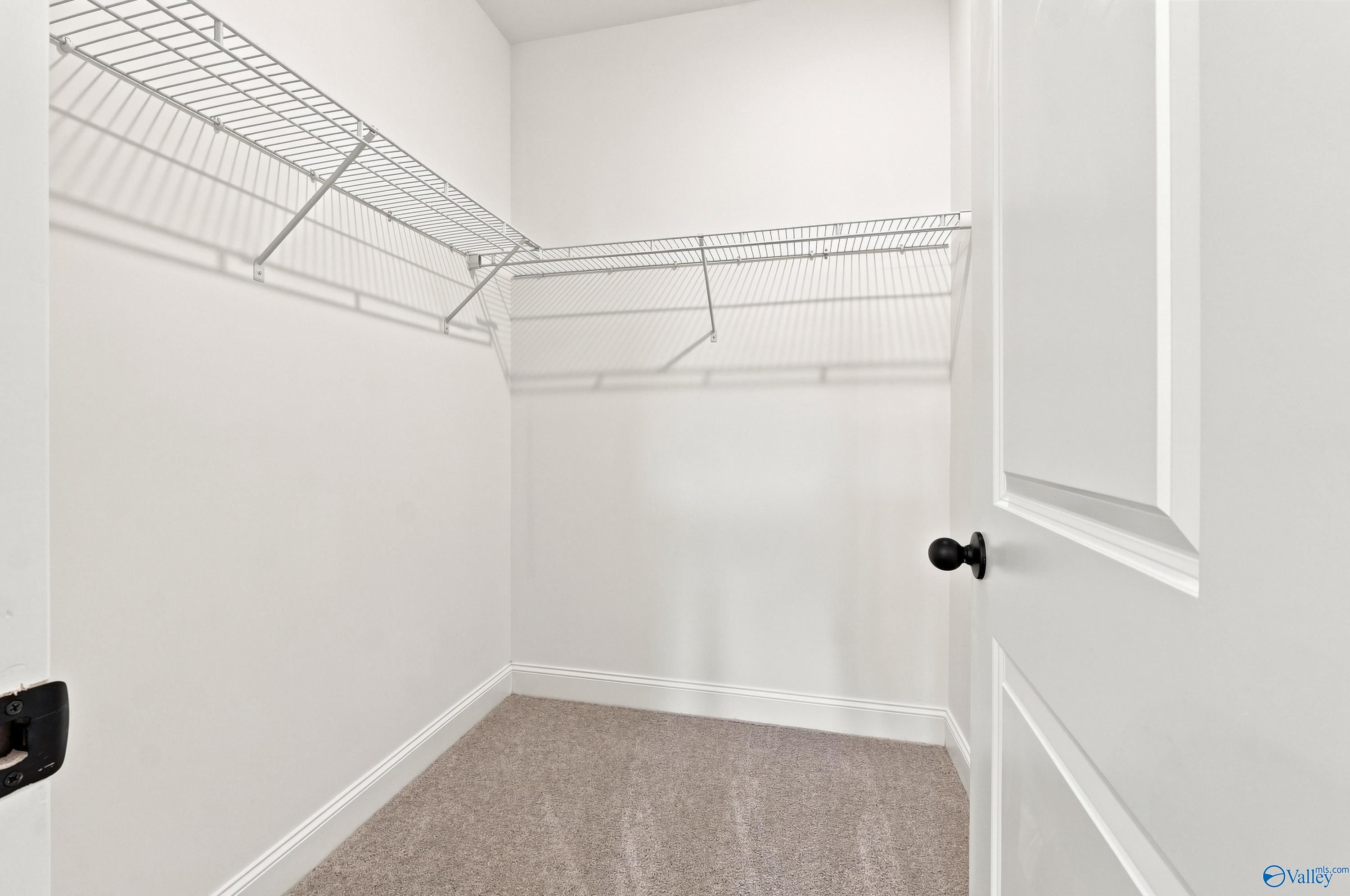 Walk-in closet with wire shelving and carpeted floors in The Asheville E floor plan by Davidson Homes in Hazel Green, AL.