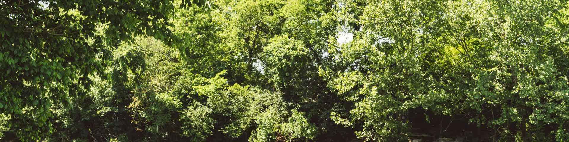 Nice Mill Dam in Smyrna, Tennessee