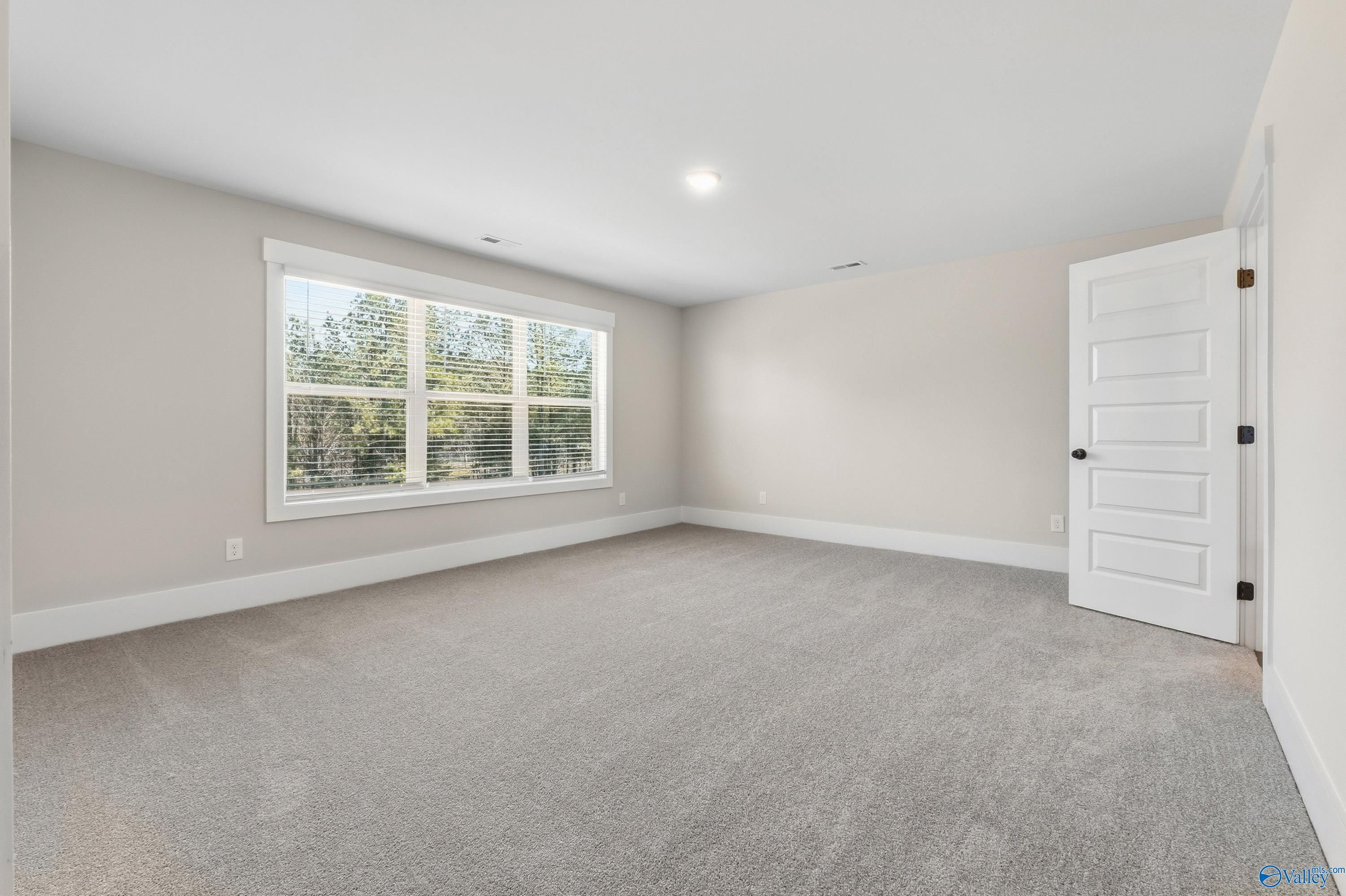 Bright empty bedroom with large window overlooking trees, gray carpet, and tray ceiling in Davidson Homes The Shelby A, Athens AL