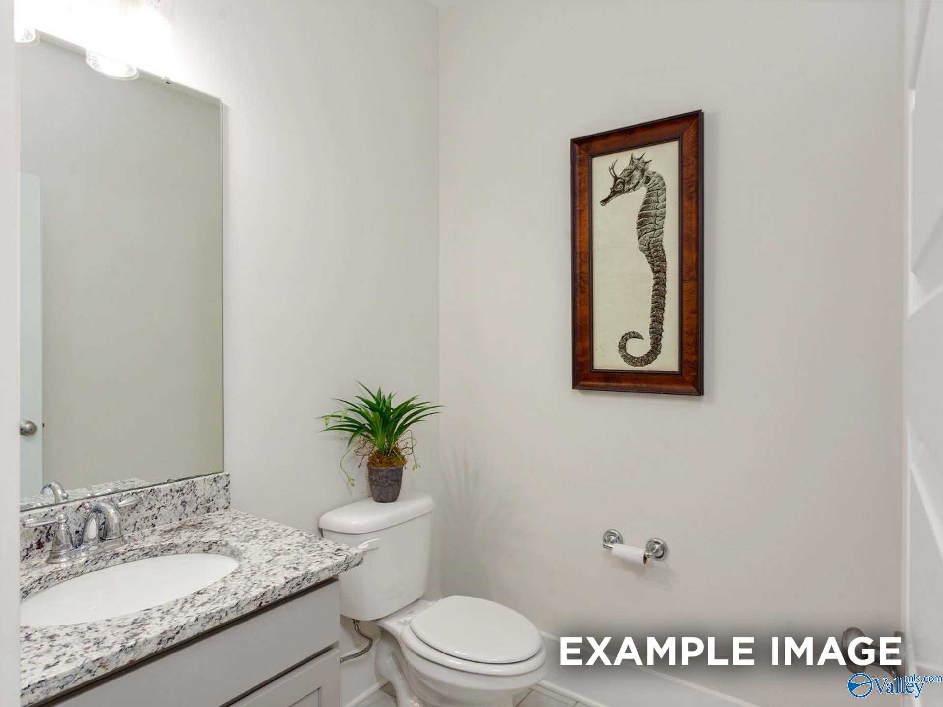 Elegant powder room featuring granite vanity sink, seahorse wall art, and potted plant in Davidson Homes The Finleigh, Meridianville, Alabama
