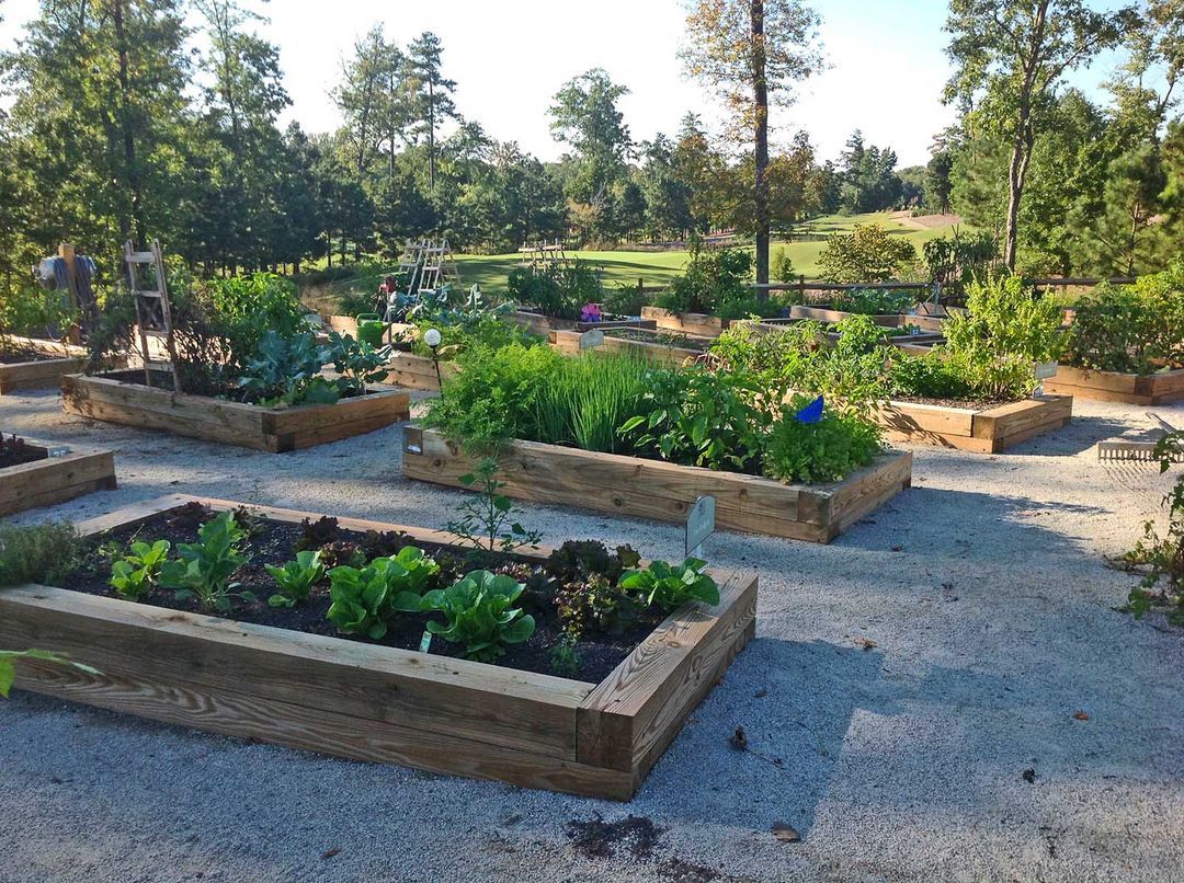 Raised garden beds with vegetables, herbs, and flowers at Addison West community in Holly Springs, North Carolina