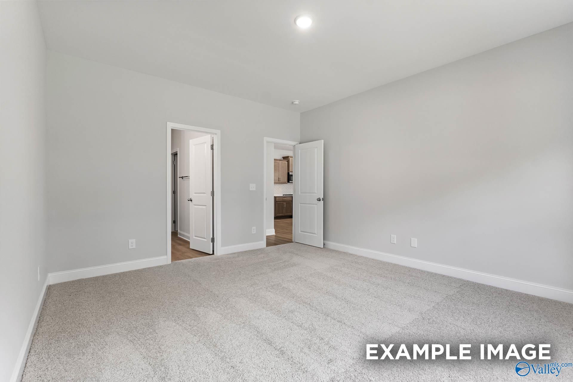 Spacious master suite with dual bathroom doorways, light gray walls, beige carpet in The Daphne C 4-bedroom home, Arab, Alabama