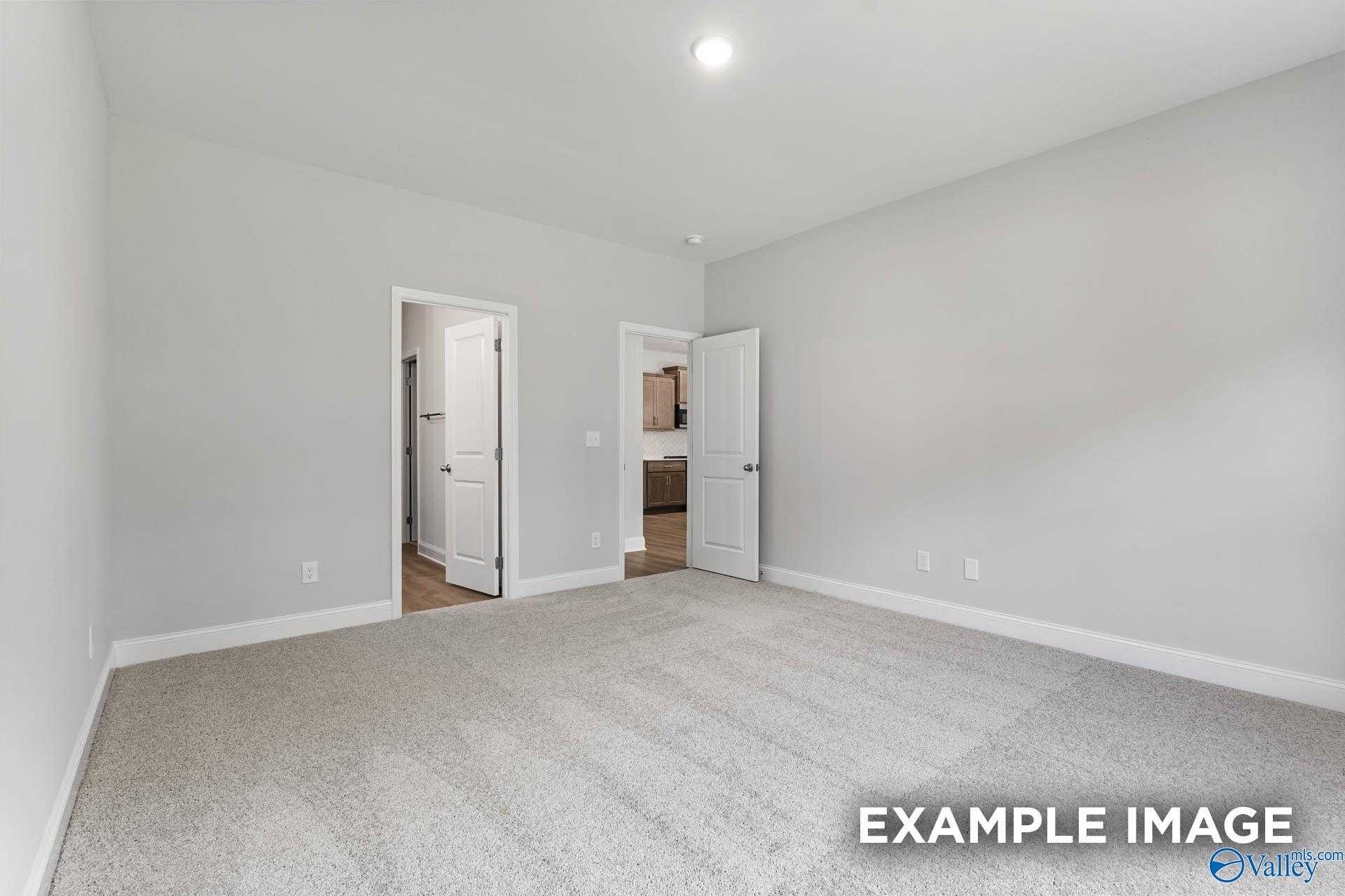 Spacious master suite with dual bathroom doorways, light gray walls, beige carpet in The Daphne C 4-bedroom home, Arab, Alabama