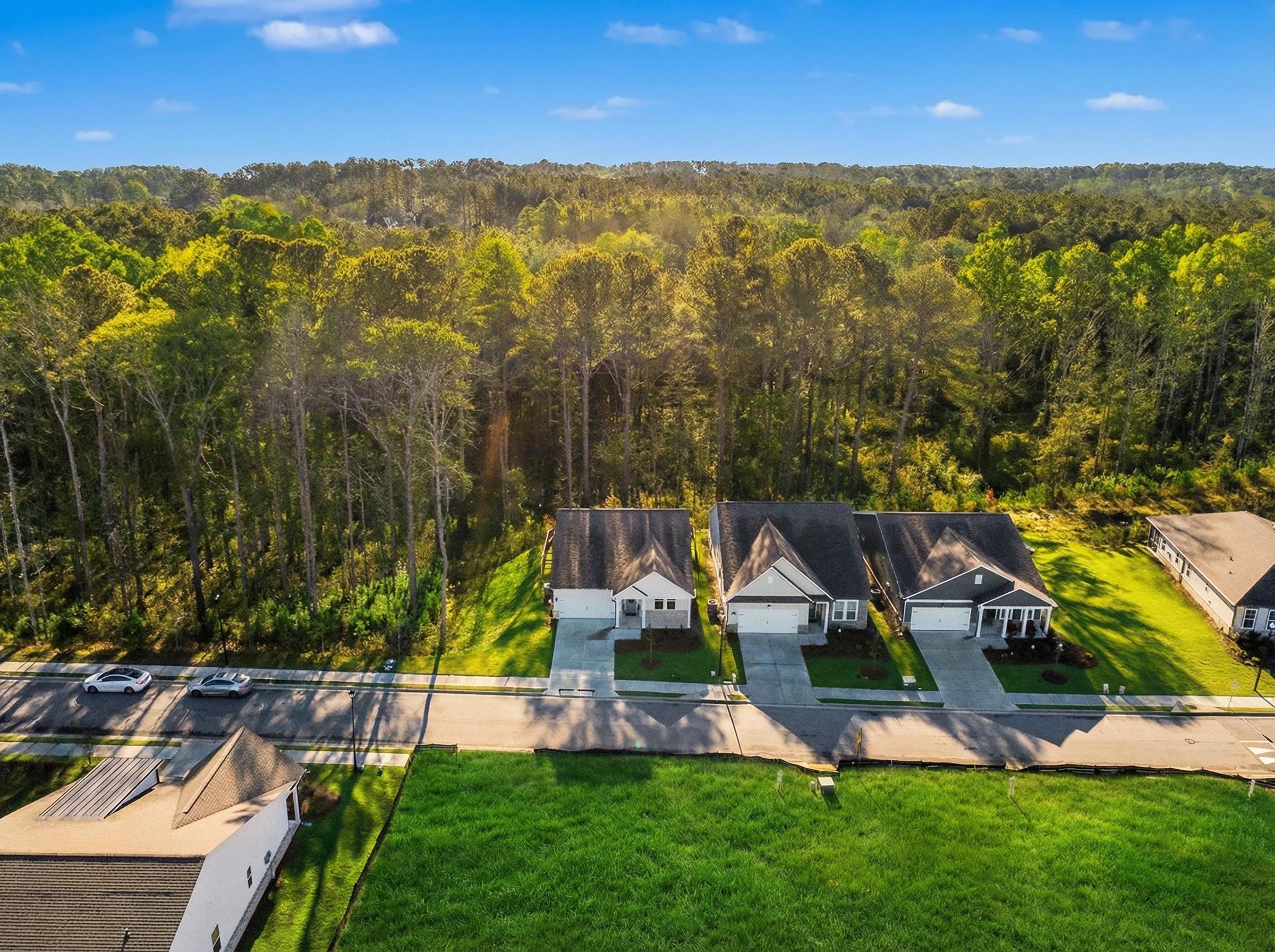 Aerial photo of the private corner lot , Davidson Homes, Loganville, GA