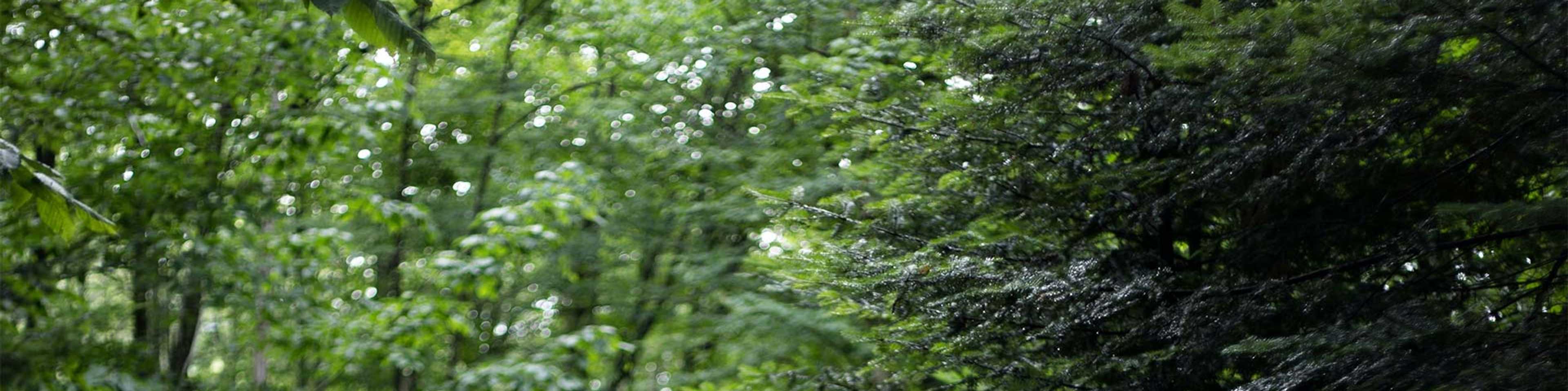 Banner Representing The Village at Keheley in Marietta, GA