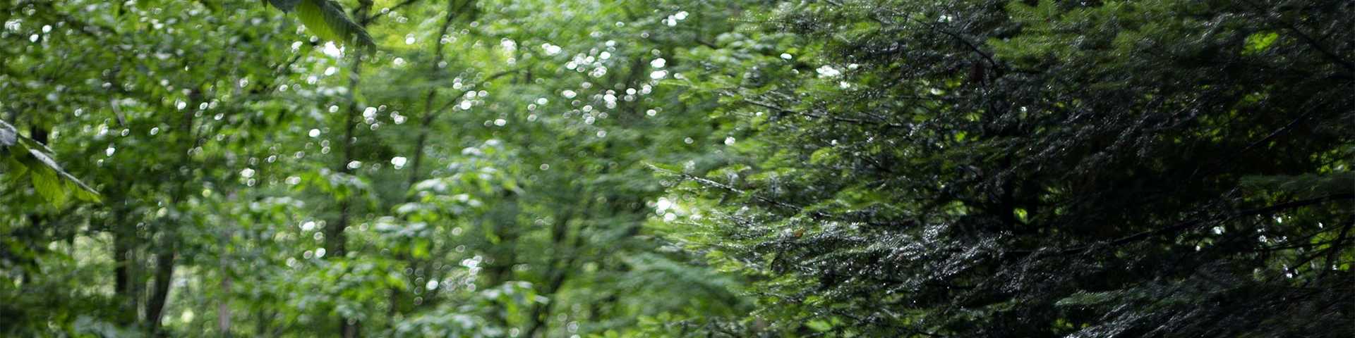 Banner Representing The Village at Keheley in Marietta, GA
