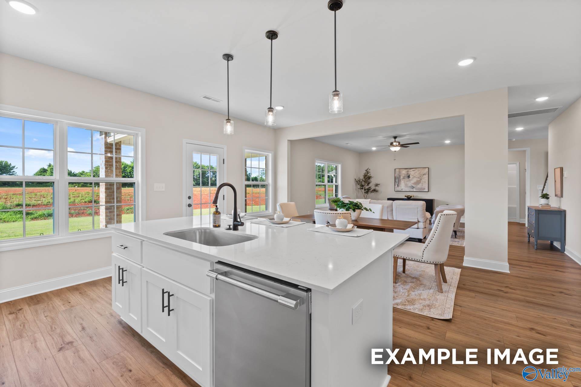 Image 12 of Davidson Homes' New Home at 306 Pone Street