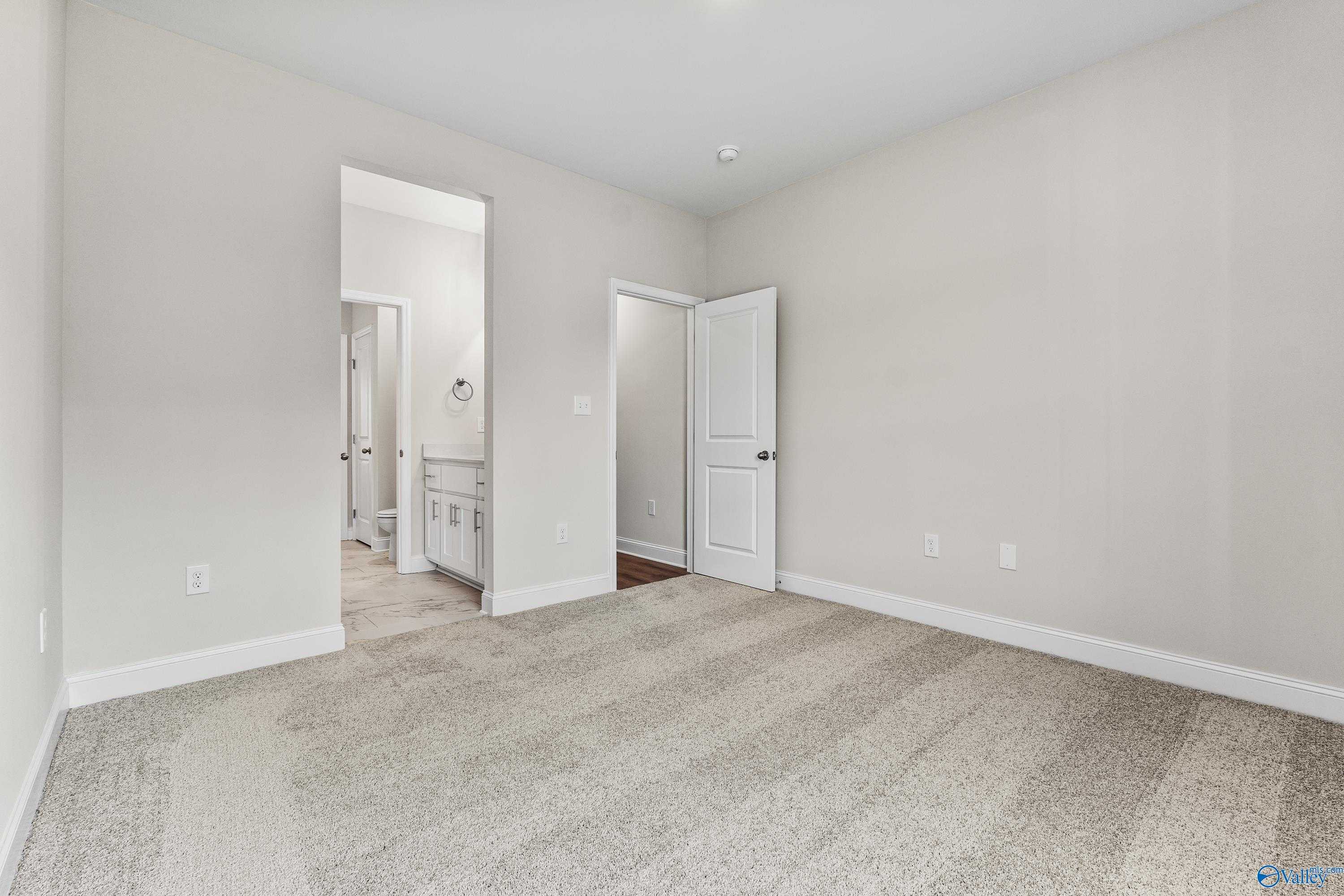 Spacious secondary bedroom with en-suite bath vanity and beige walls in Davidson Homes The Finleigh, Toney Alabama