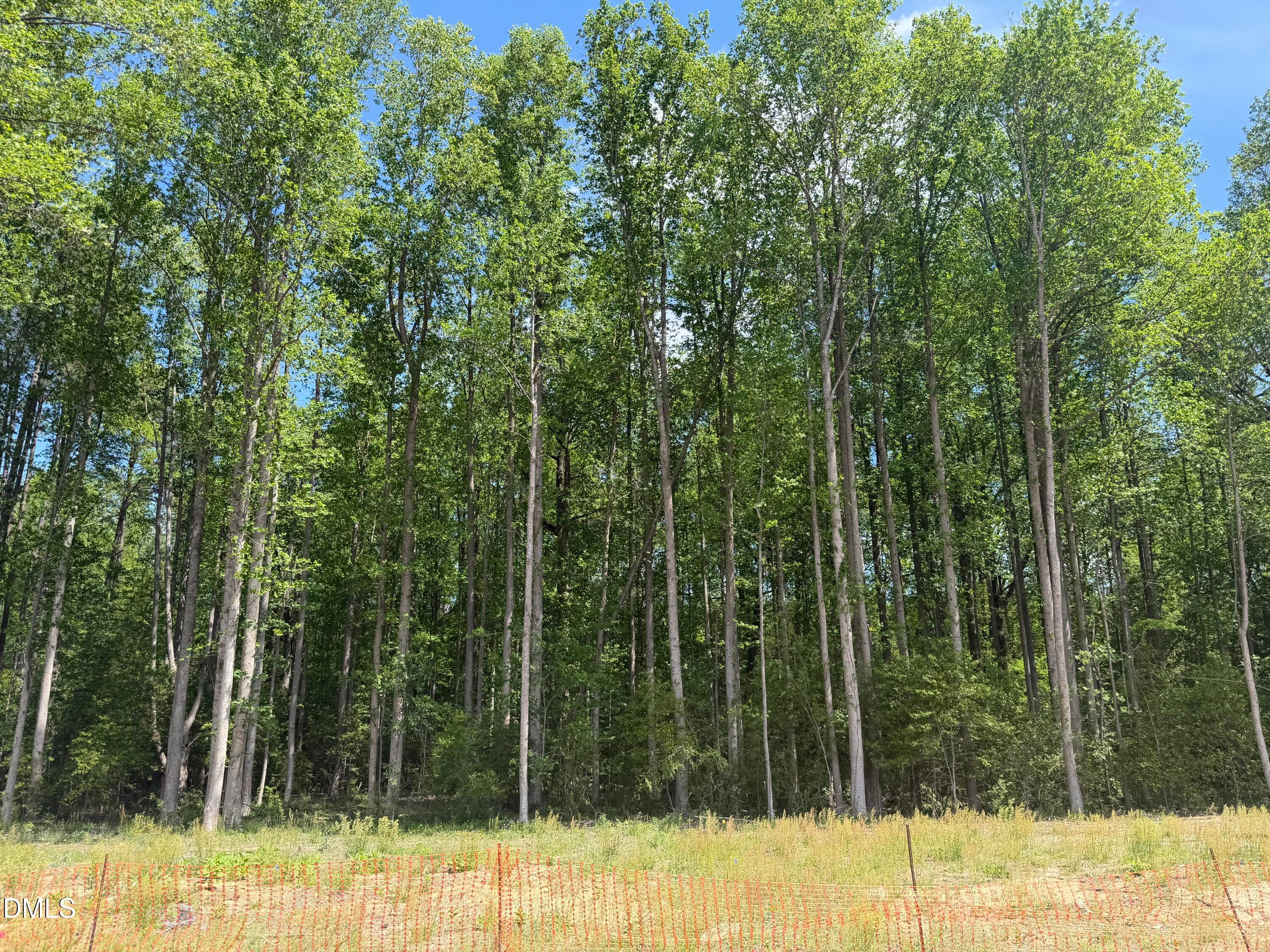 Lush green forest of tall trees under blue sky, grassy lot with orange safety fencing in Wellers Knoll, Lillington, NC