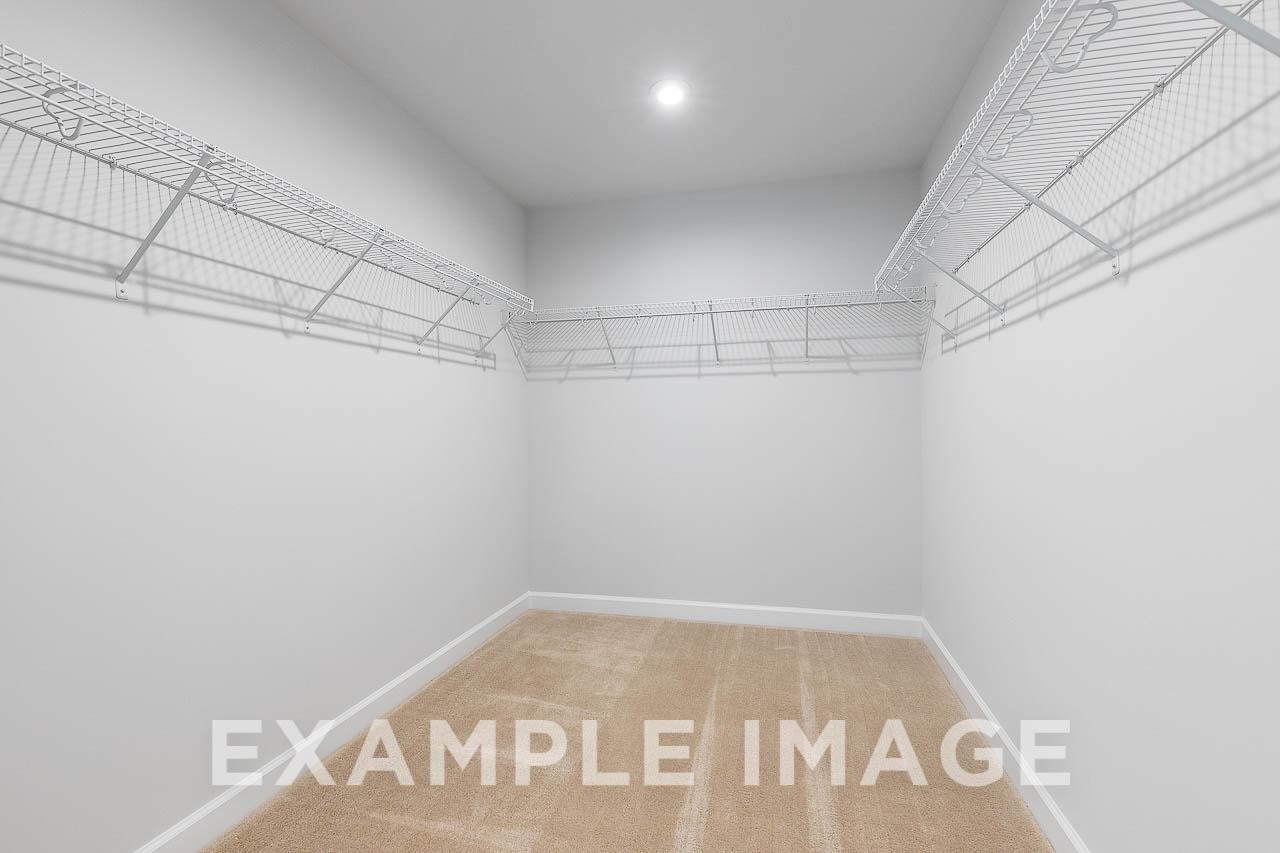 Davidson Homes The Chestnut Plan Walk-In Closet with Shelving