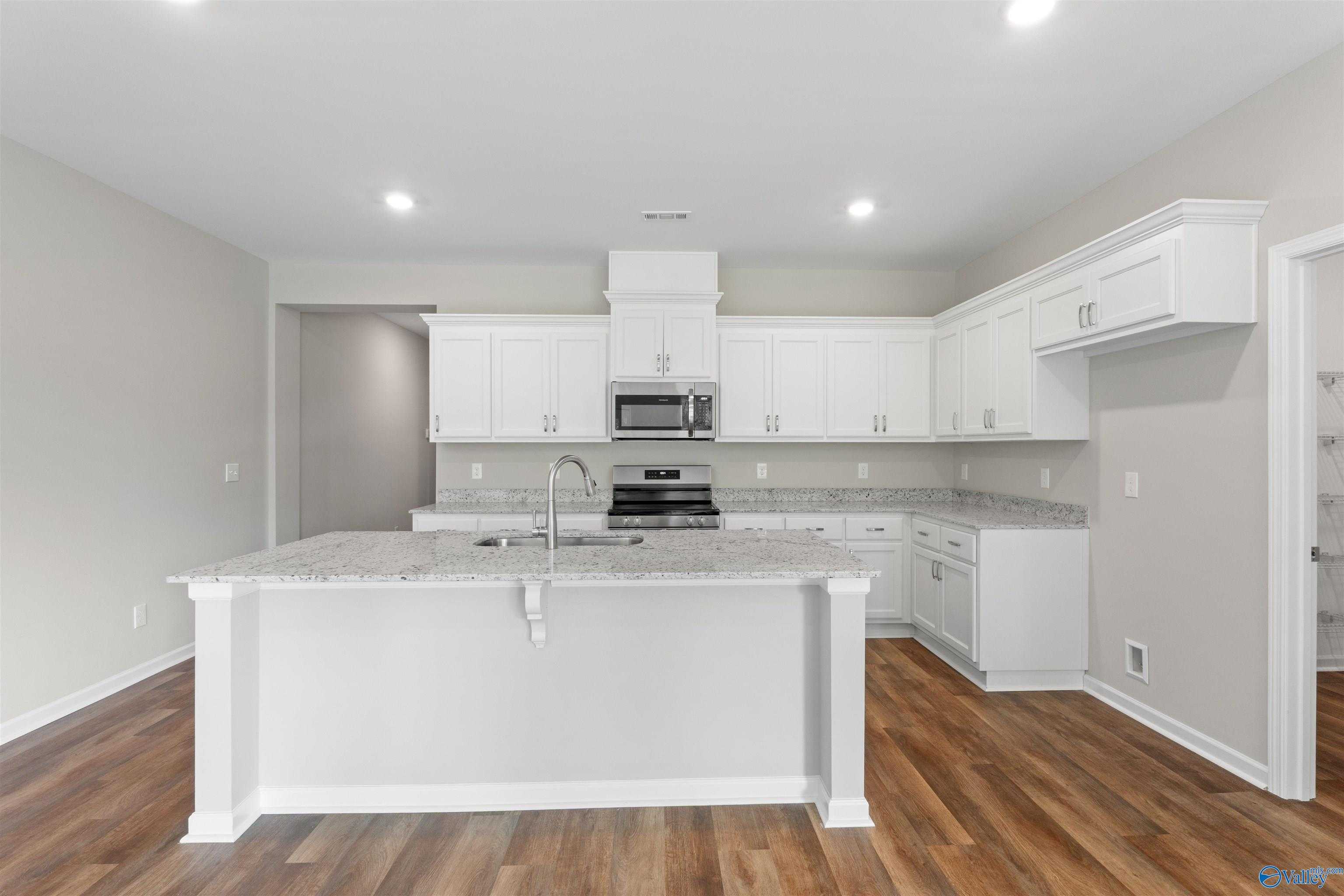 Modern white kitchen with granite island sink, stainless appliances, and open layout in The Luna floor plan, Hazel Green, Alabama