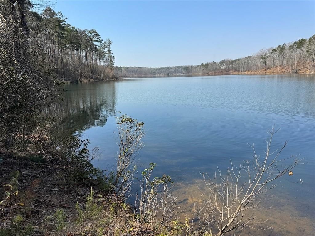 Scenic lake bordered by pine trees and bare woods in The Bluffs, Canton, Georgia, Davidson Homes community