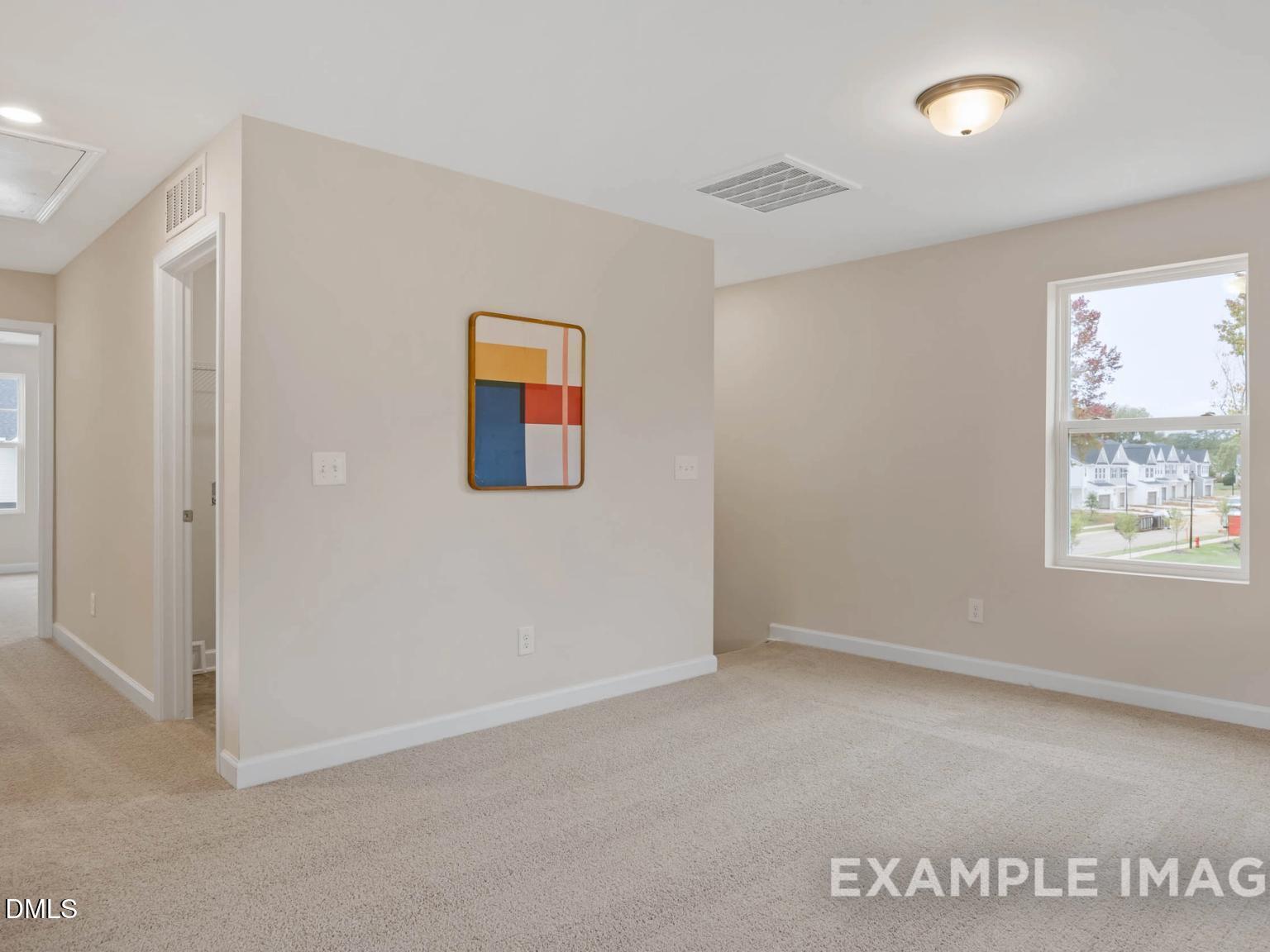 Image 18 of Davidson Homes' New Home at 901 Diana Victoria Court