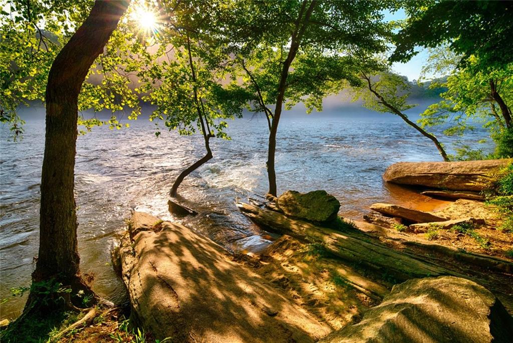Sunlit riverbank with lush green trees, calm waters, rocks, and driftwood in The Village at Shallowford, Kennesaw, Georgia