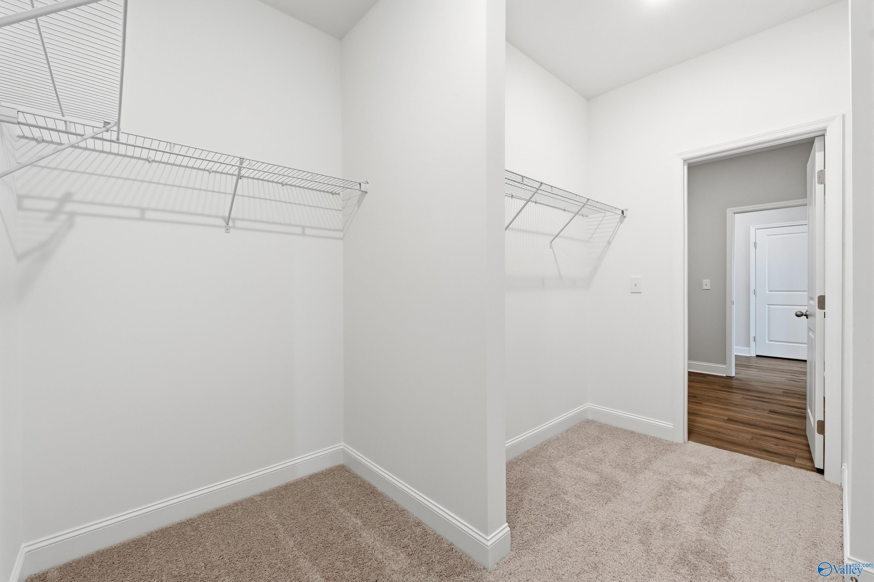 Spacious walk-in closet with wire shelving, beige carpet, and adjacent bedroom doorway in Davidson Homes The Everett, Harvest, AL