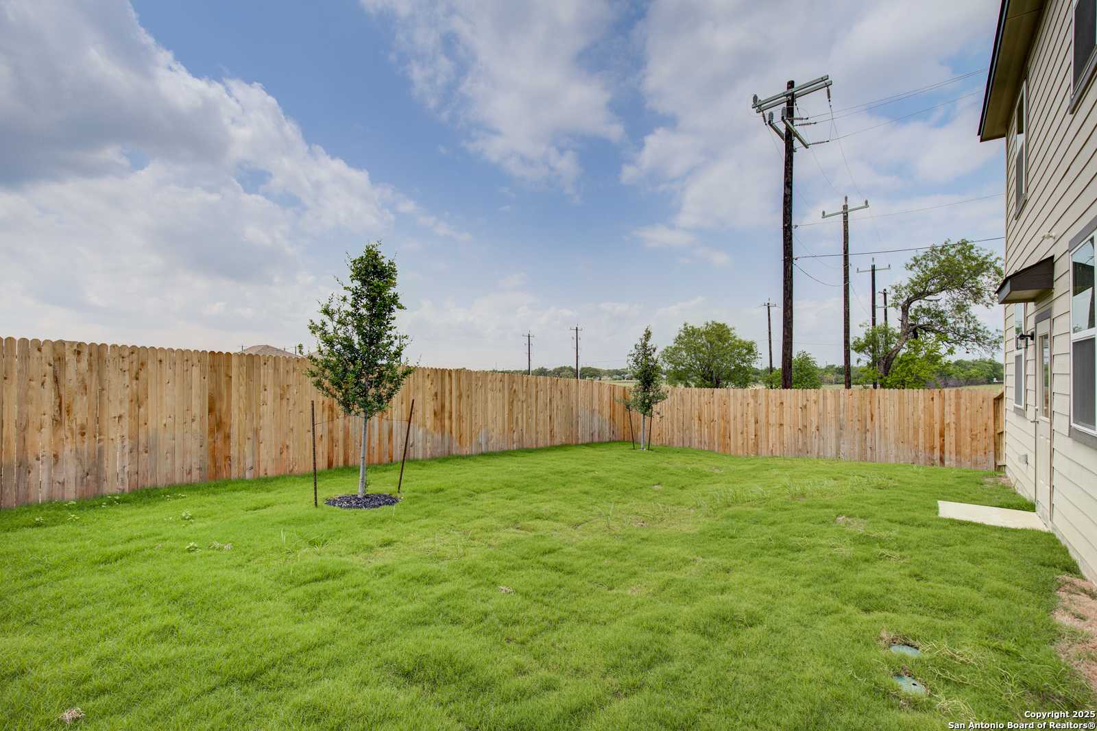 Fenced backyard with lush green lawn and young tree beside two-story home in Applewhite Meadows, San Antonio, Texas
