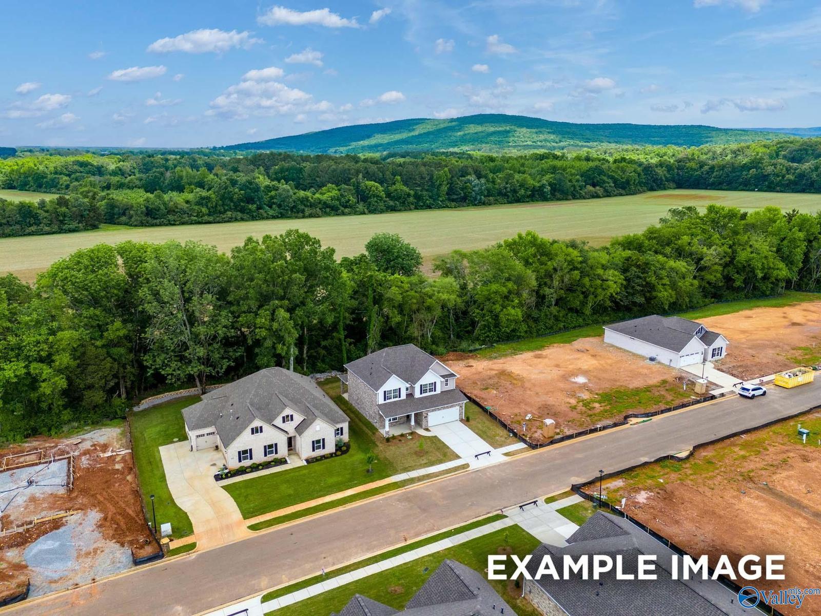 Image 37 of Davidson Homes' New Home at 132 Holly Grove Lane