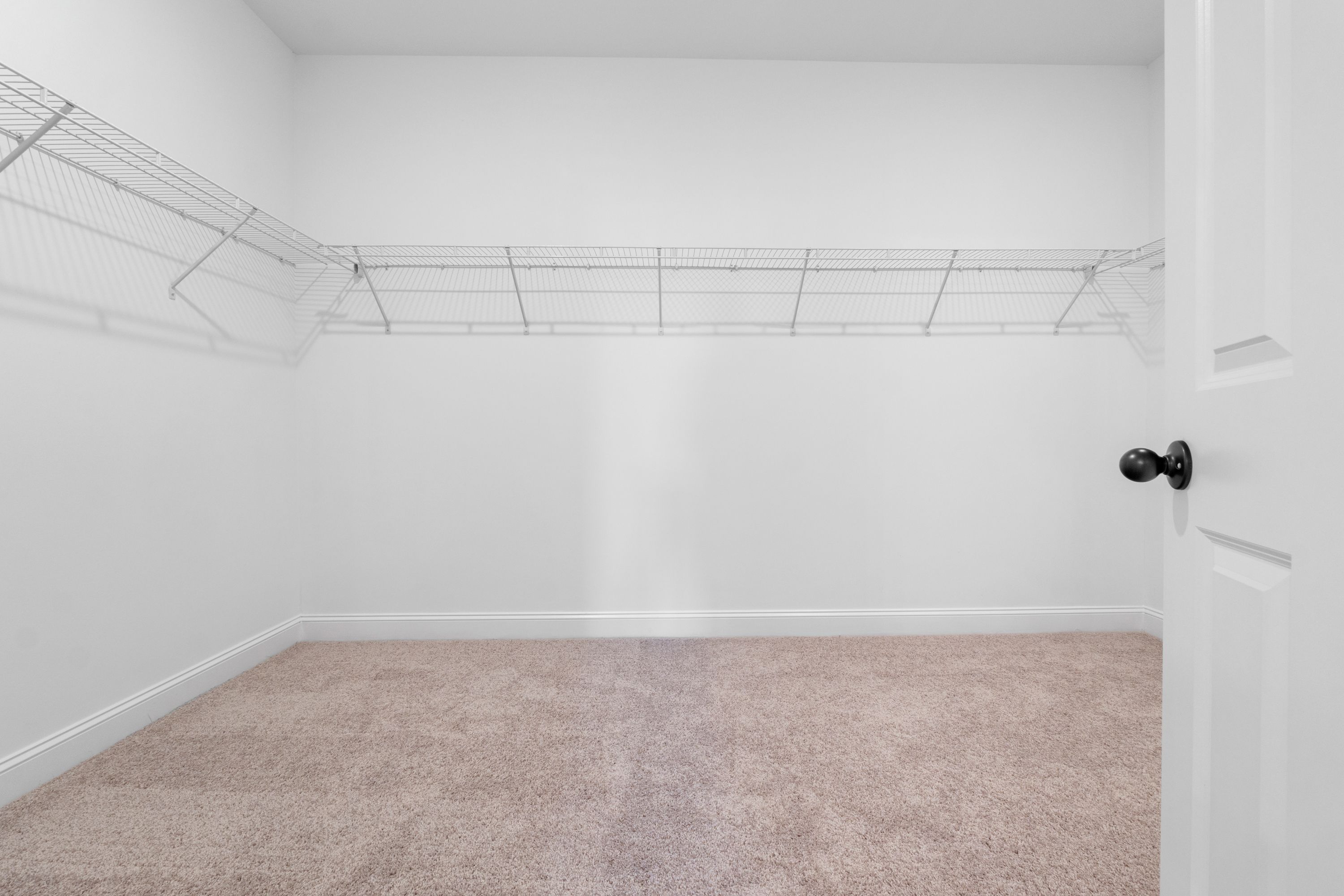 Spacious walk-in closet in The Valencia home featuring wire shelving, beige carpet, and white walls