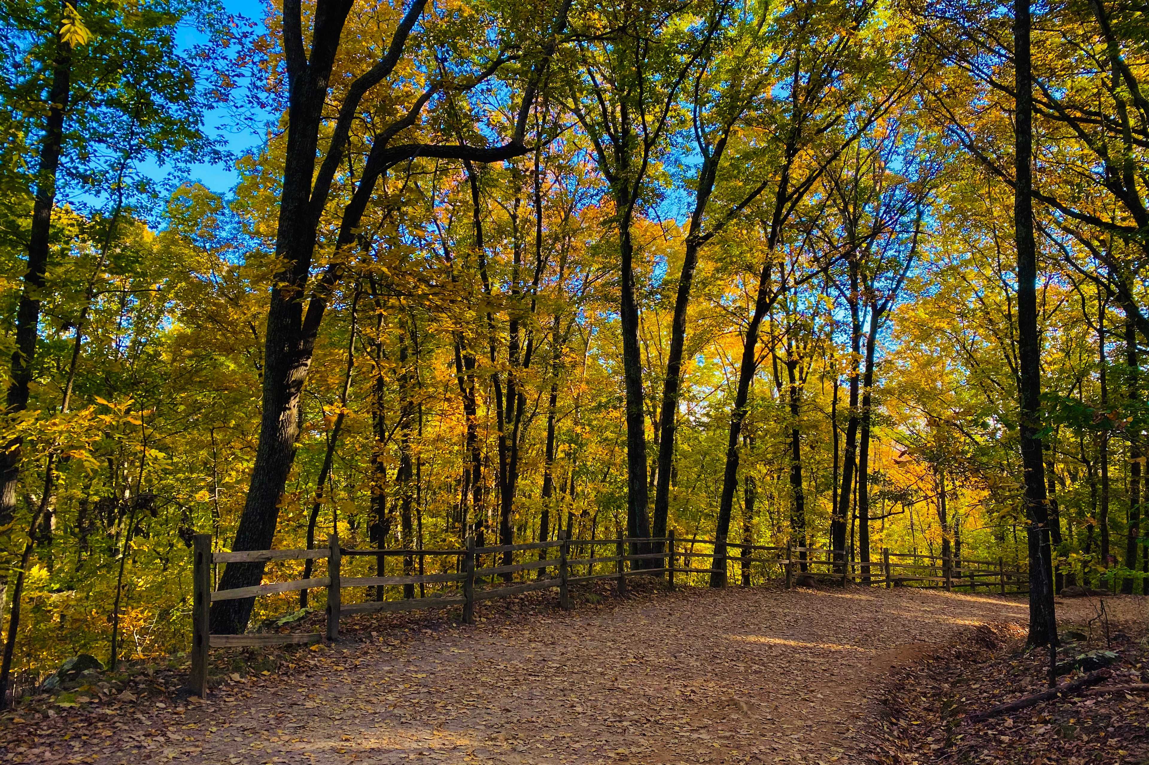 Scenic autumn walking trail with wooden rail fence and vibrant yellow-orange foliage at The Village at Shallowford in Kennesaw, Georgia