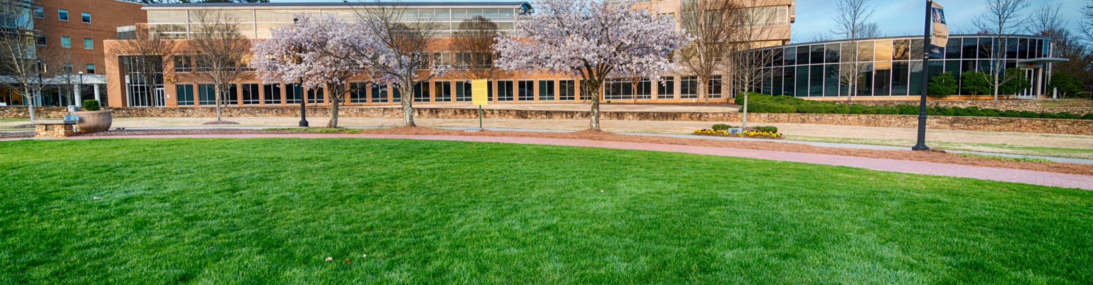 Kennesaw State University