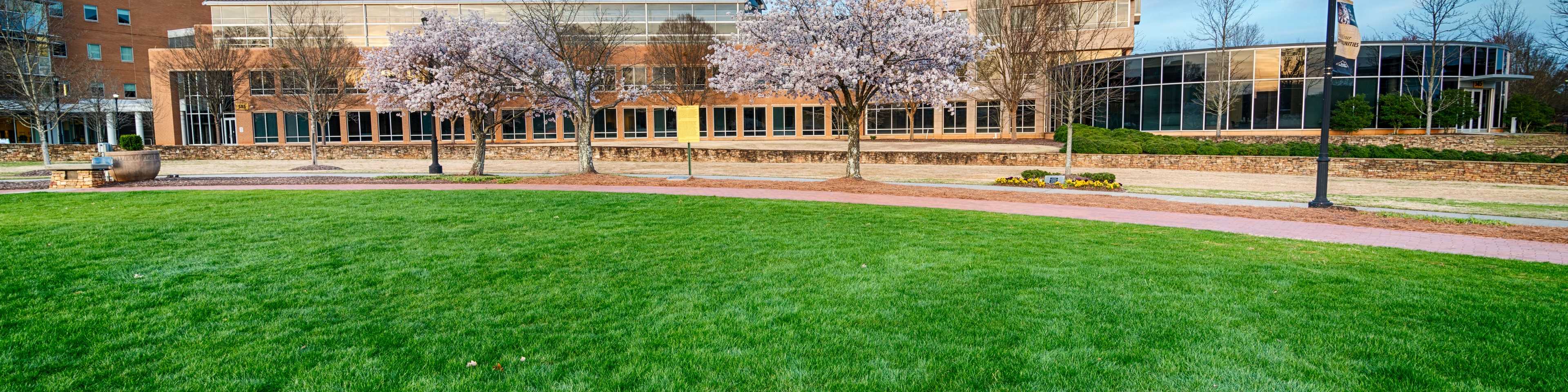 Kennesaw State University