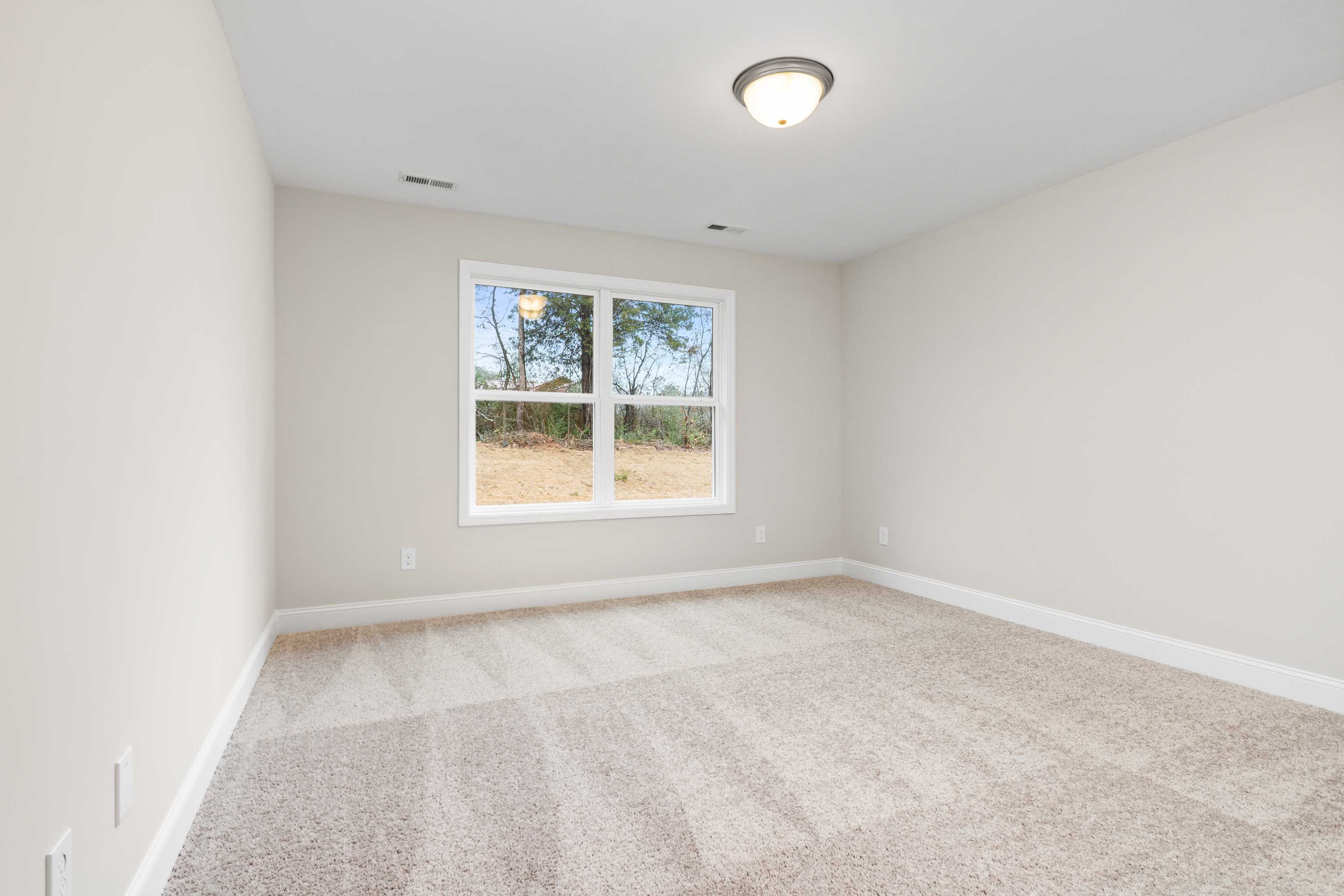 Spacious bedroom in The Asheville by Davidson Homes with light gray walls, beige carpet, large window overlooking trees, and ceiling light