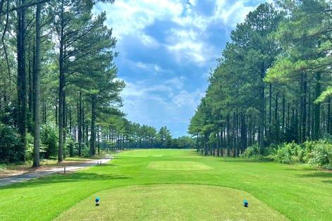 Lush green golf fairway lined with tall pine trees at Chapel Hill in Athens, Alabama