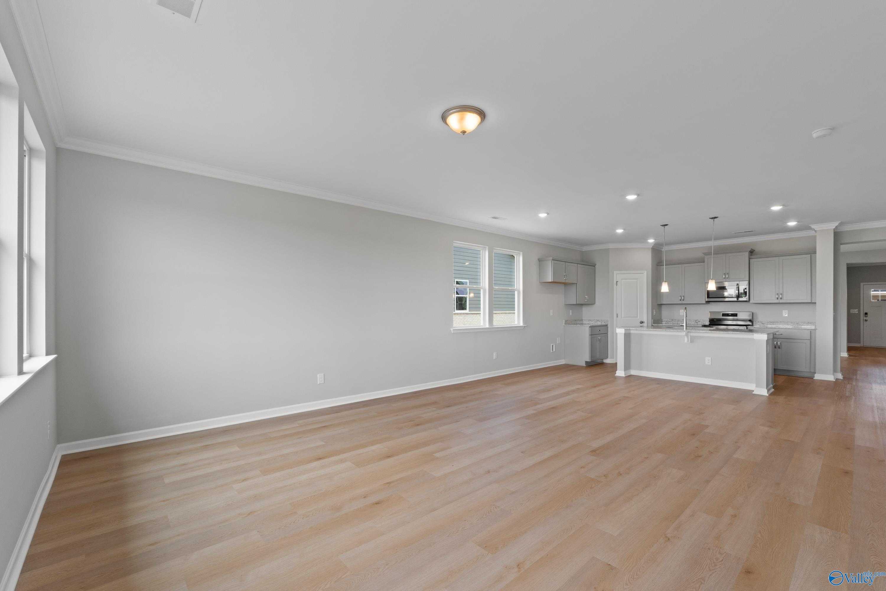 Modern open-concept kitchen with white cabinets, island sink, and hardwood floors in Davidson Homes The Orion, Athens, AL