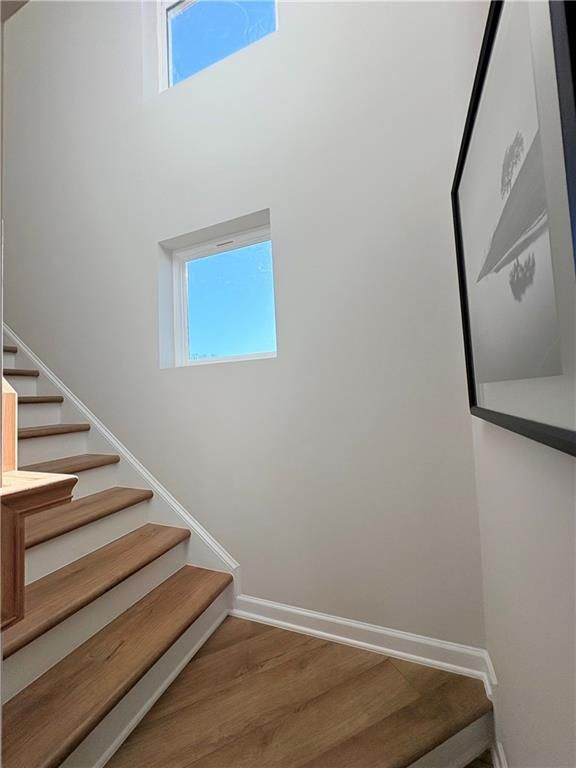 Image 22 of Davidson Homes' New Home at 6115 Molo Lane