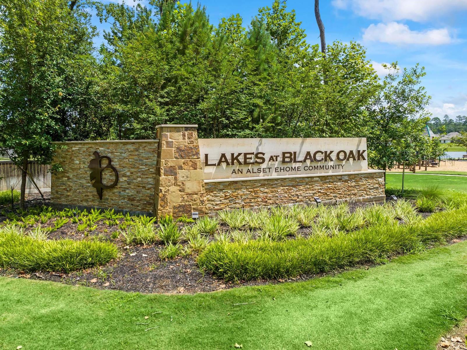 Image 4 of Davidson Homes' New Home at 8611 Blueberry Ash Street