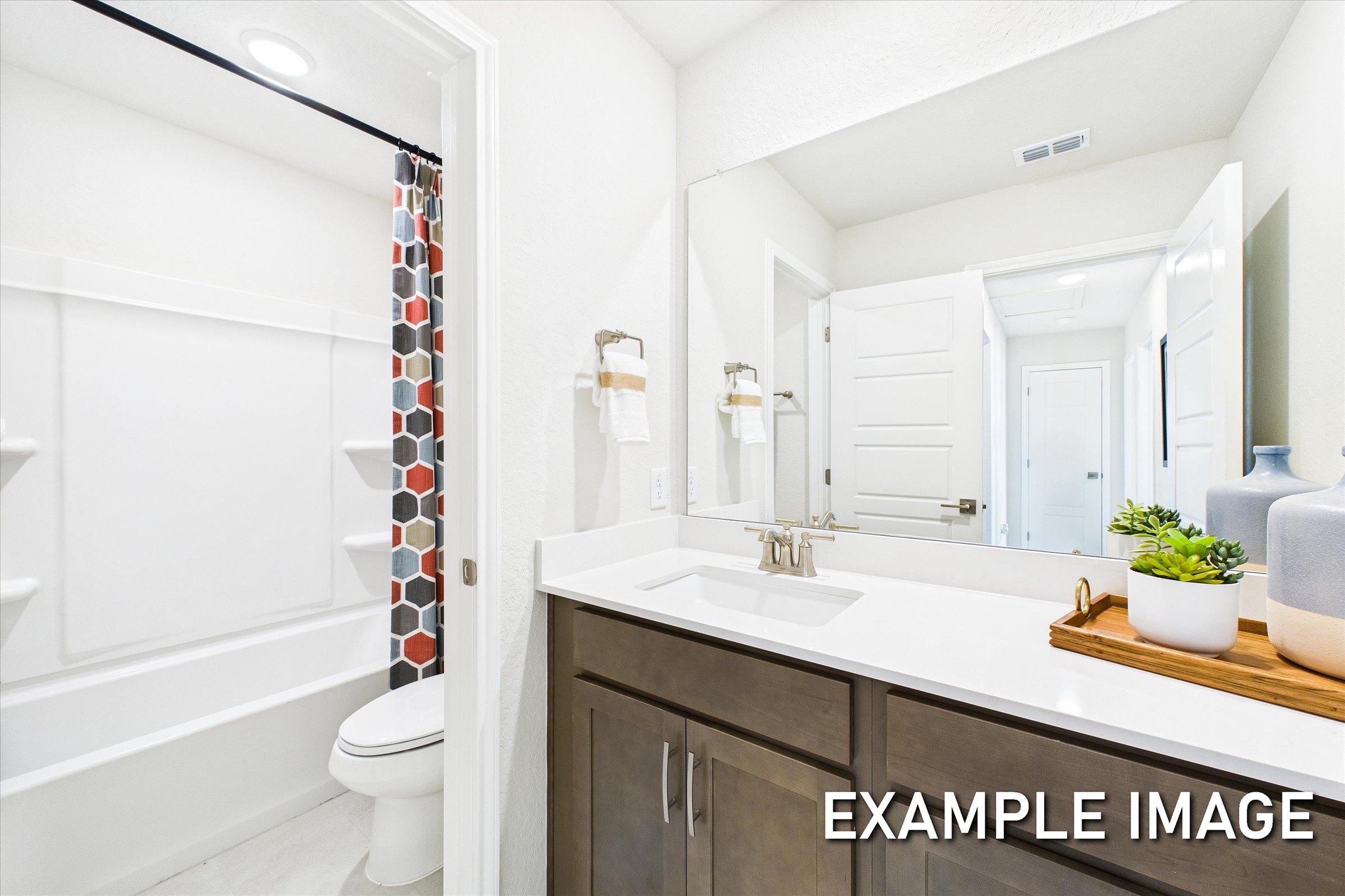 Modern bathroom in The Brazos home with white tub, geometric red-gray shower curtain, brown vanity sink, mirror, and succulent plants