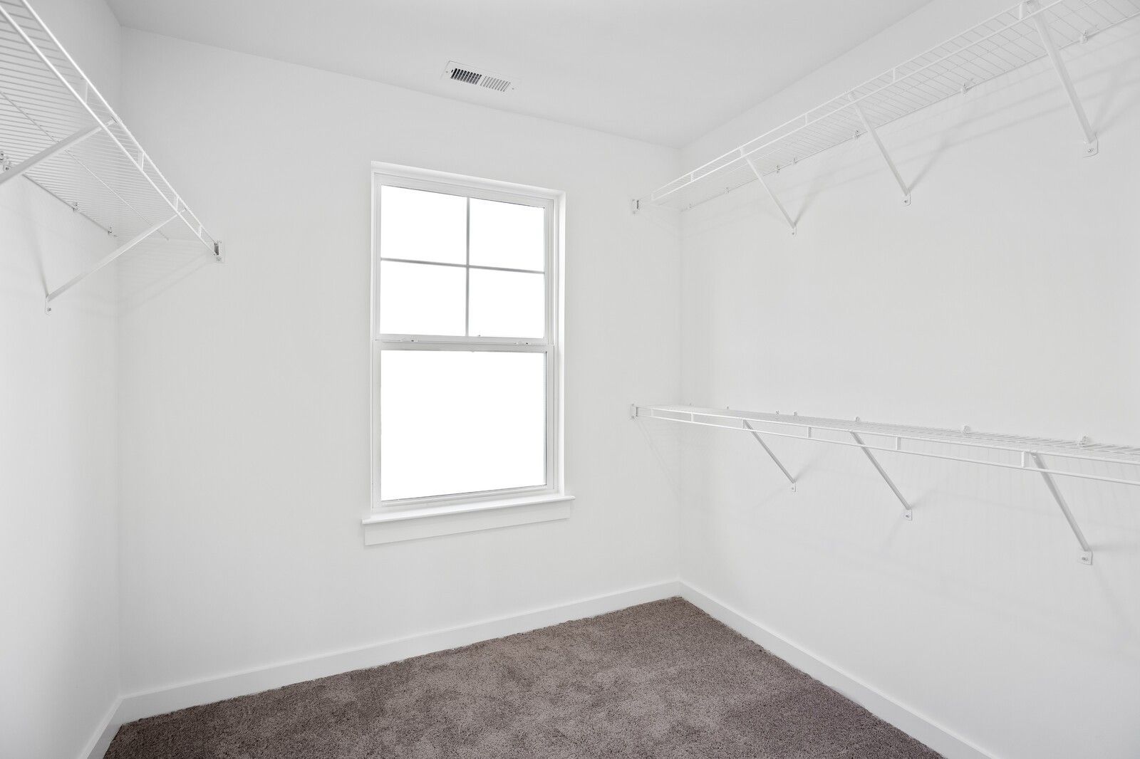 Spacious walk-in closet with white shelving, hanging rods, window, and carpet in Davidson Homes The Willow C, Gallatin, TN